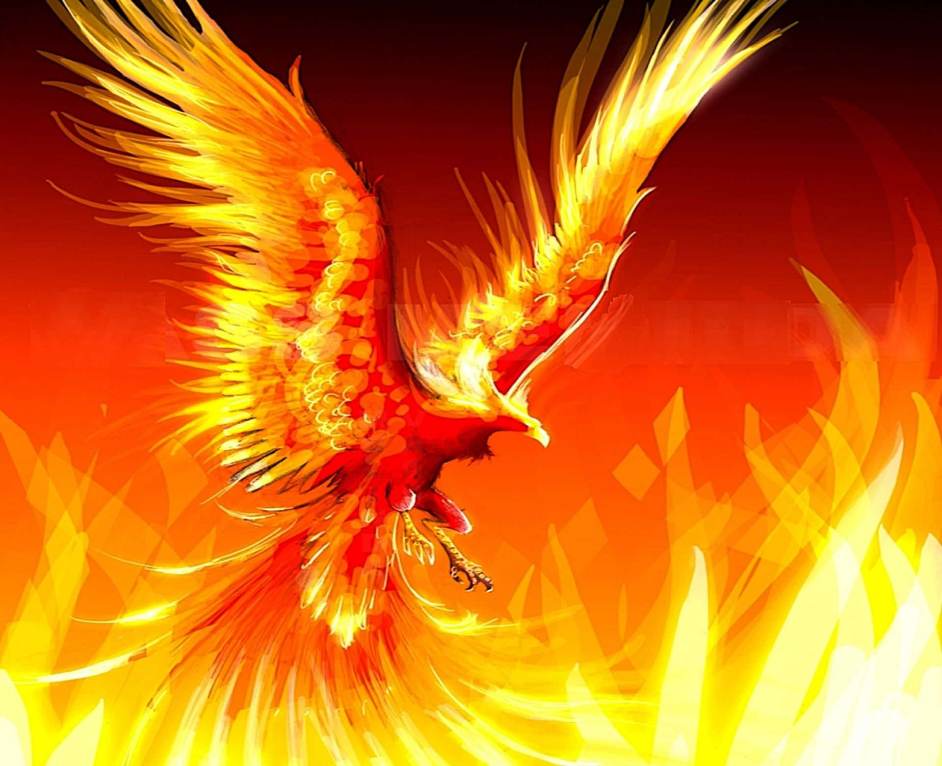 Cool Fire, fiery phoenix, blazing orange, Full HD Desktop Wallpaper