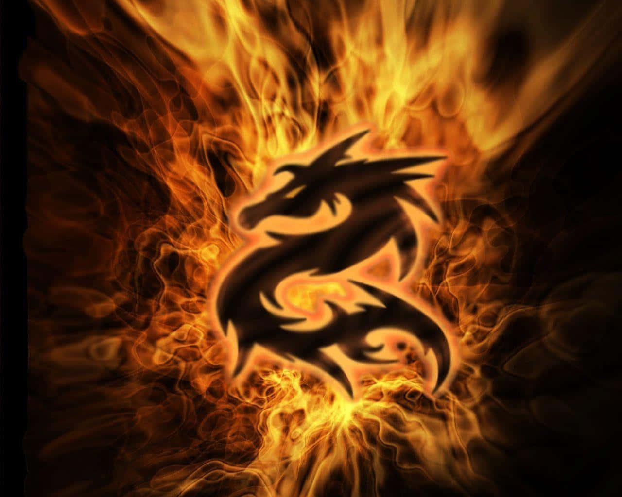 Cool Fire, black dragon, orange and yellow flames, HD Desktop Wallpaper