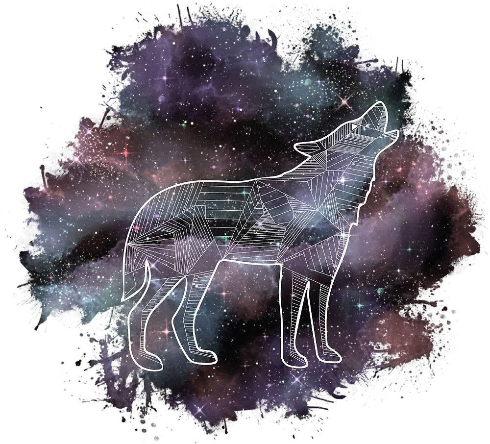 Cool Galaxy Wolf, prism wolf, cosmic nebula, SD Desktop Wallpaper