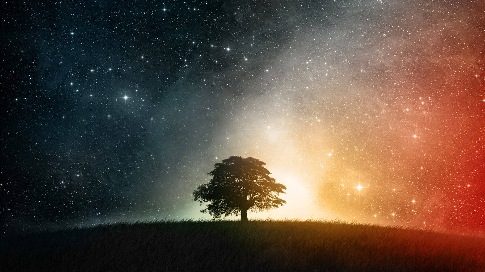 Cool Galaxy, lone tree, grassy hill, HD Desktop Wallpaper