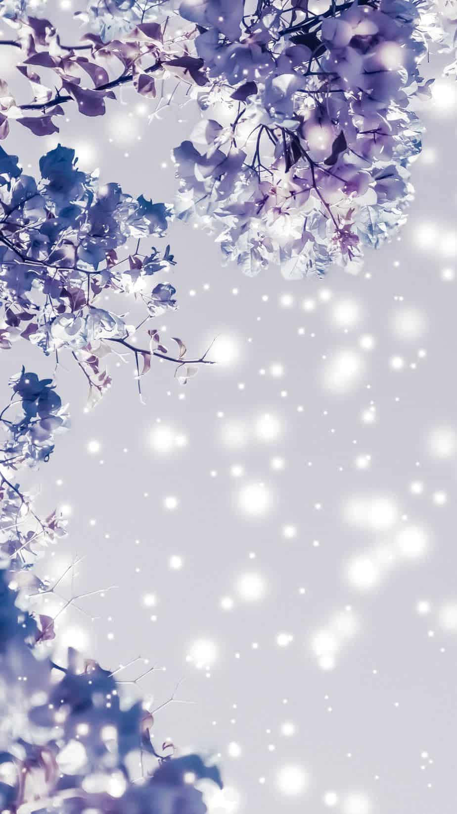 Purple blossoms, soft sky, glowing bokeh lights, HD Phone Wallpaper