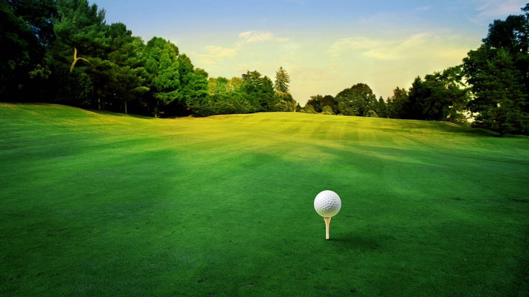 golf ball, tee, lush green fairway, HD Desktop Wallpaper