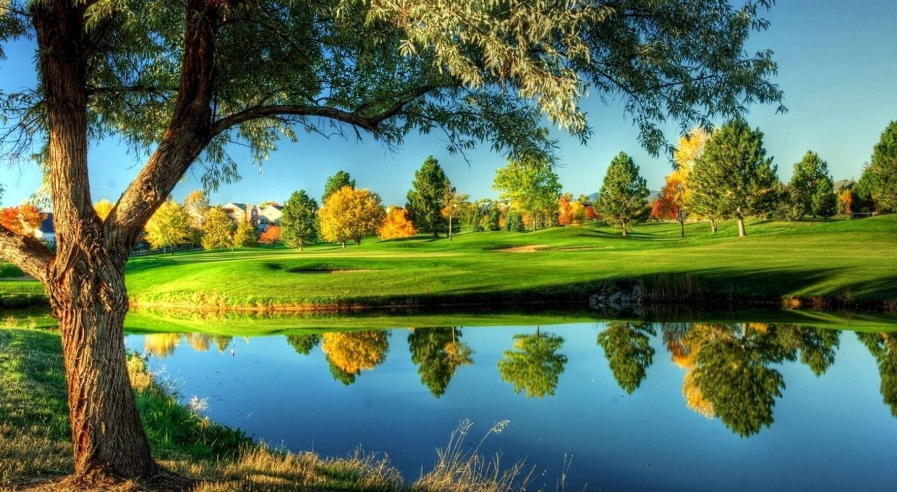 autumn, golf course, vibrant green fairways, HD Desktop Wallpaper
