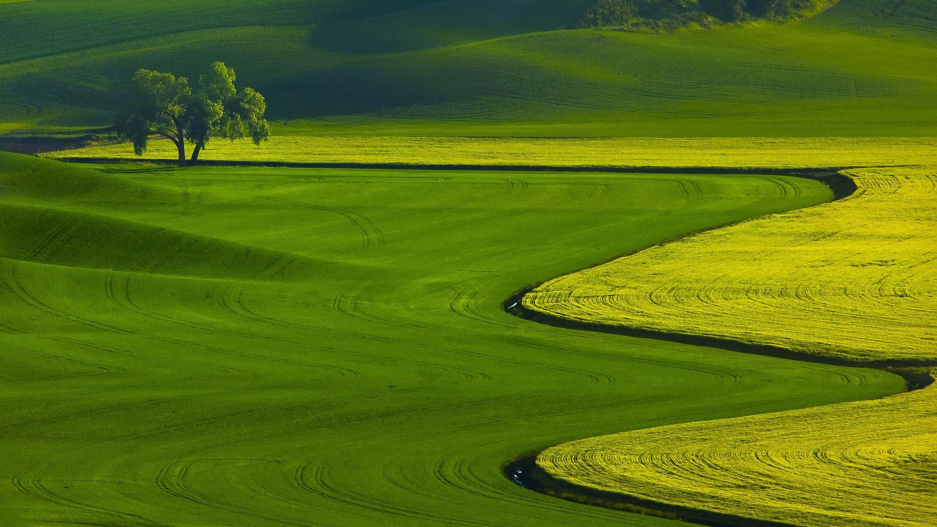Cool Golf, green hillside, winding tractor tracks, Full HD Desktop Wallpaper