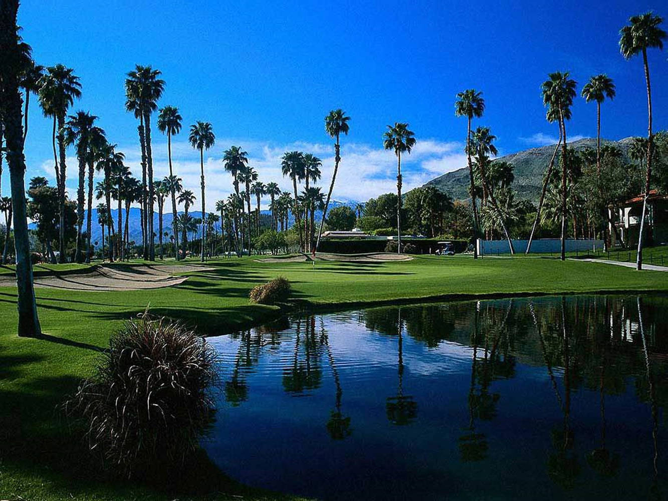 Cool Golf, water hazard, lush green fairways, HD Desktop Wallpaper