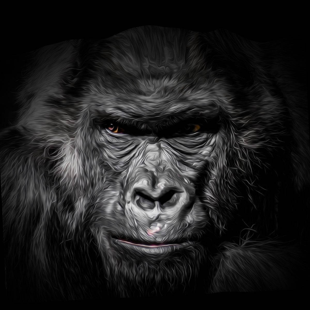 Cool Gorilla, glowing amber eyes, black background, SD Desktop Wallpaper