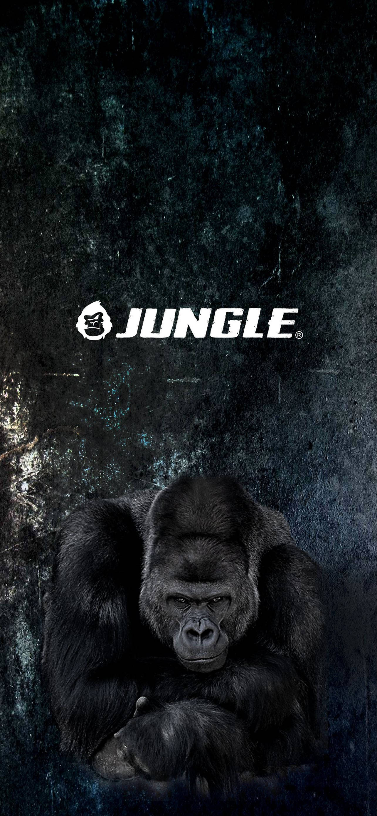 Cool Gorilla, JUNGLE, dark textured background, 2K Phone Wallpaper