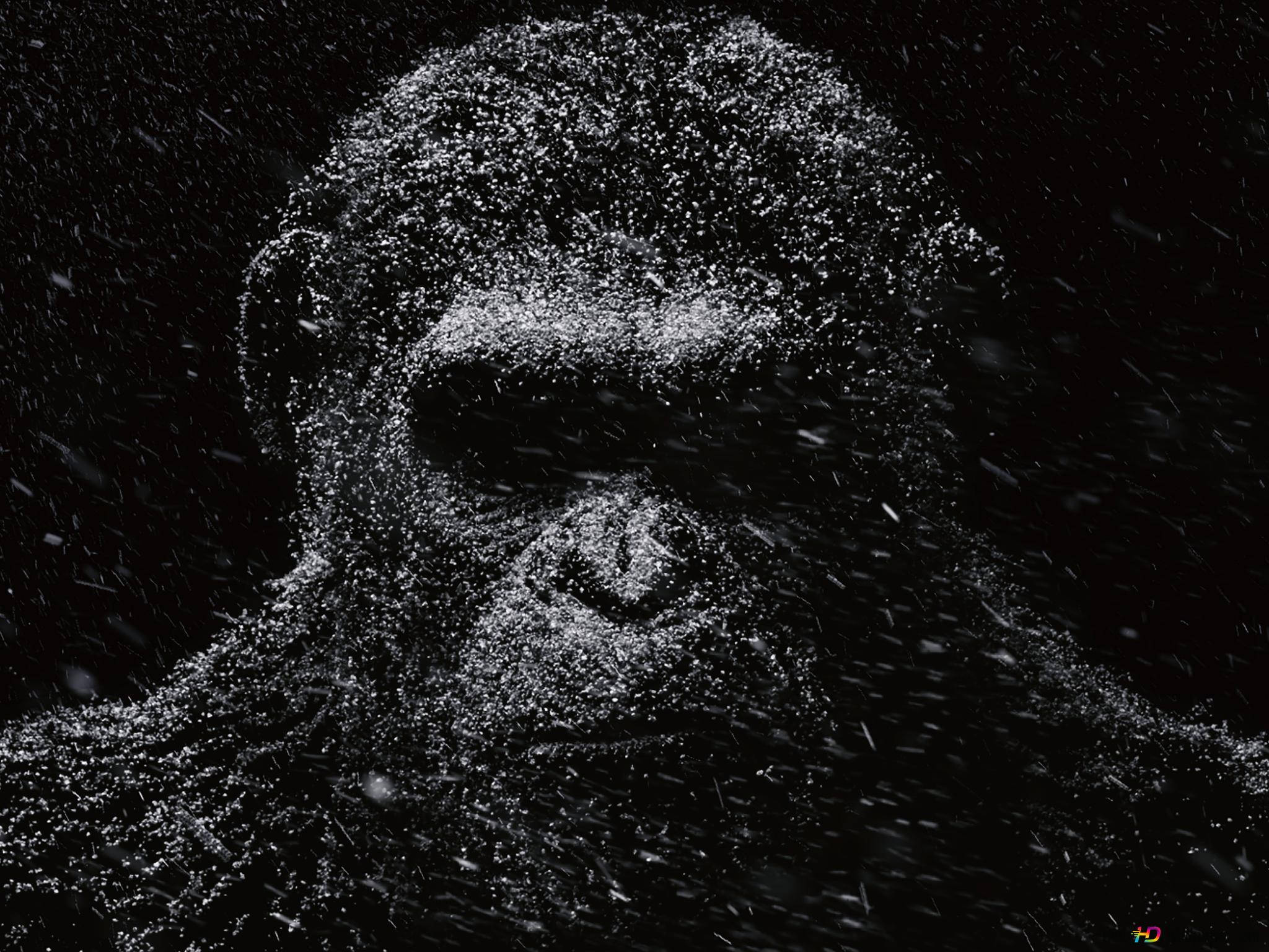 Cool Gorilla, white particles, black void, Full HD Desktop Wallpaper