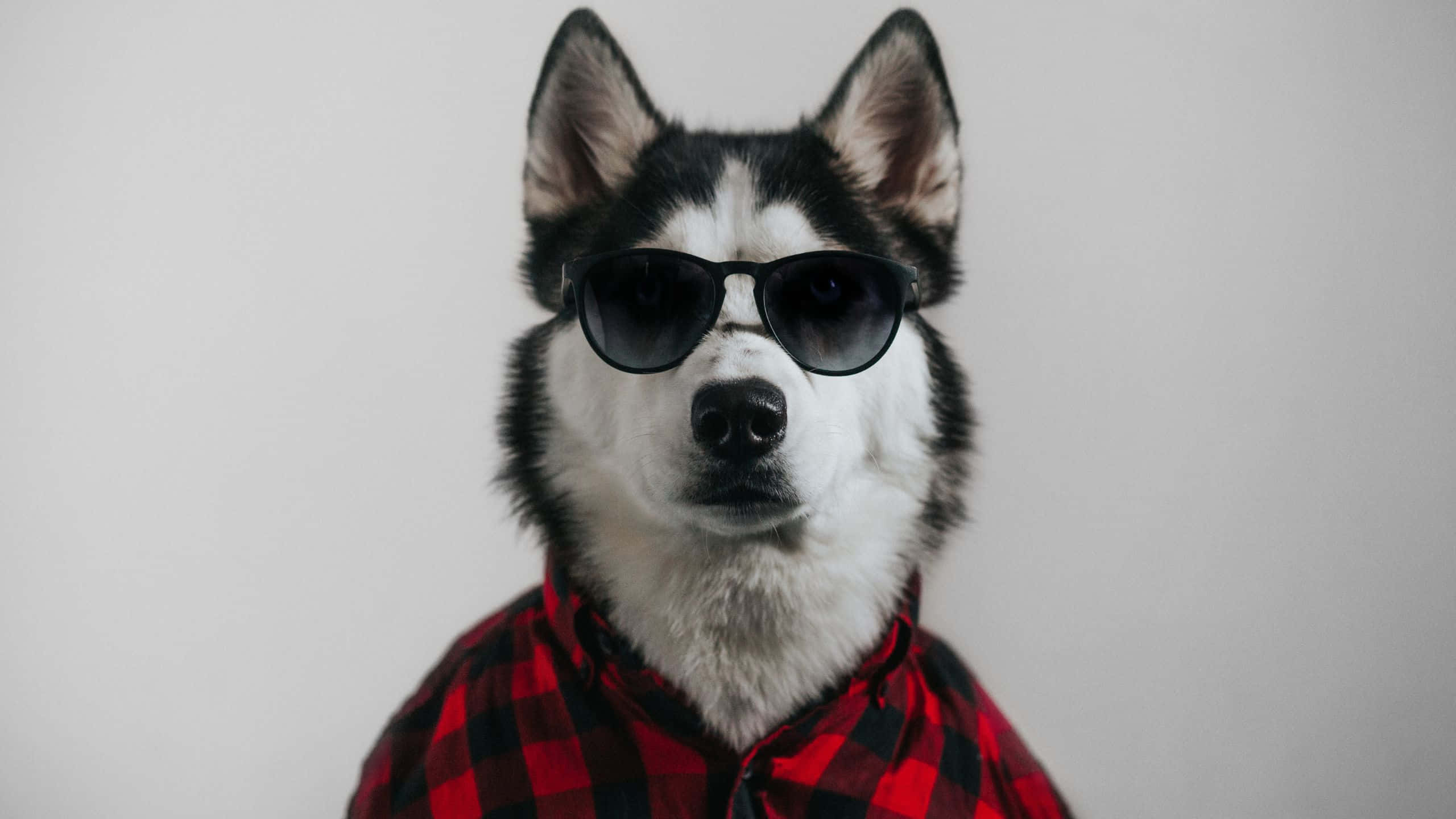 cool gray, gray, black sunglasses, 2K Desktop Wallpaper