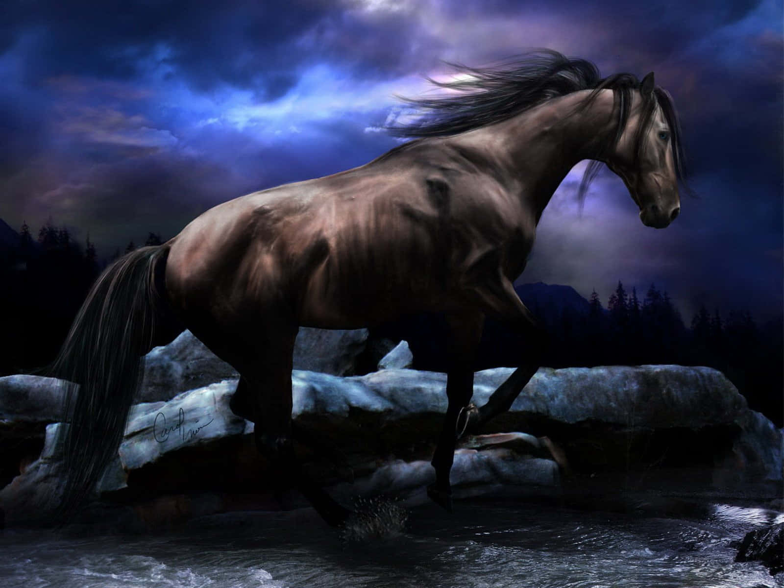 Cool Horse, moonlit river, icy rocks, HD Desktop Wallpaper