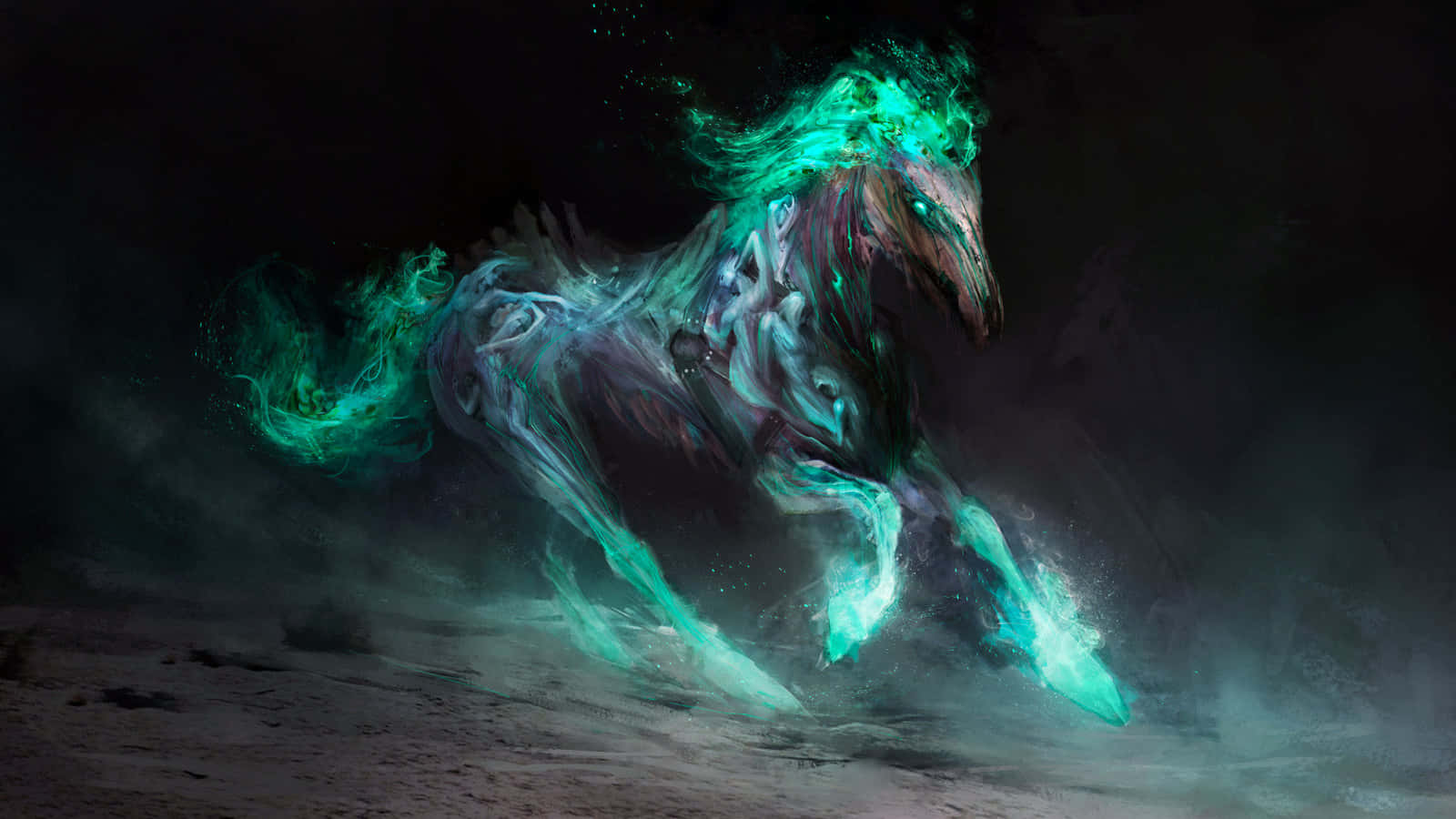 White Horse, long mane, looking upwards, HD Desktop Wallpaper