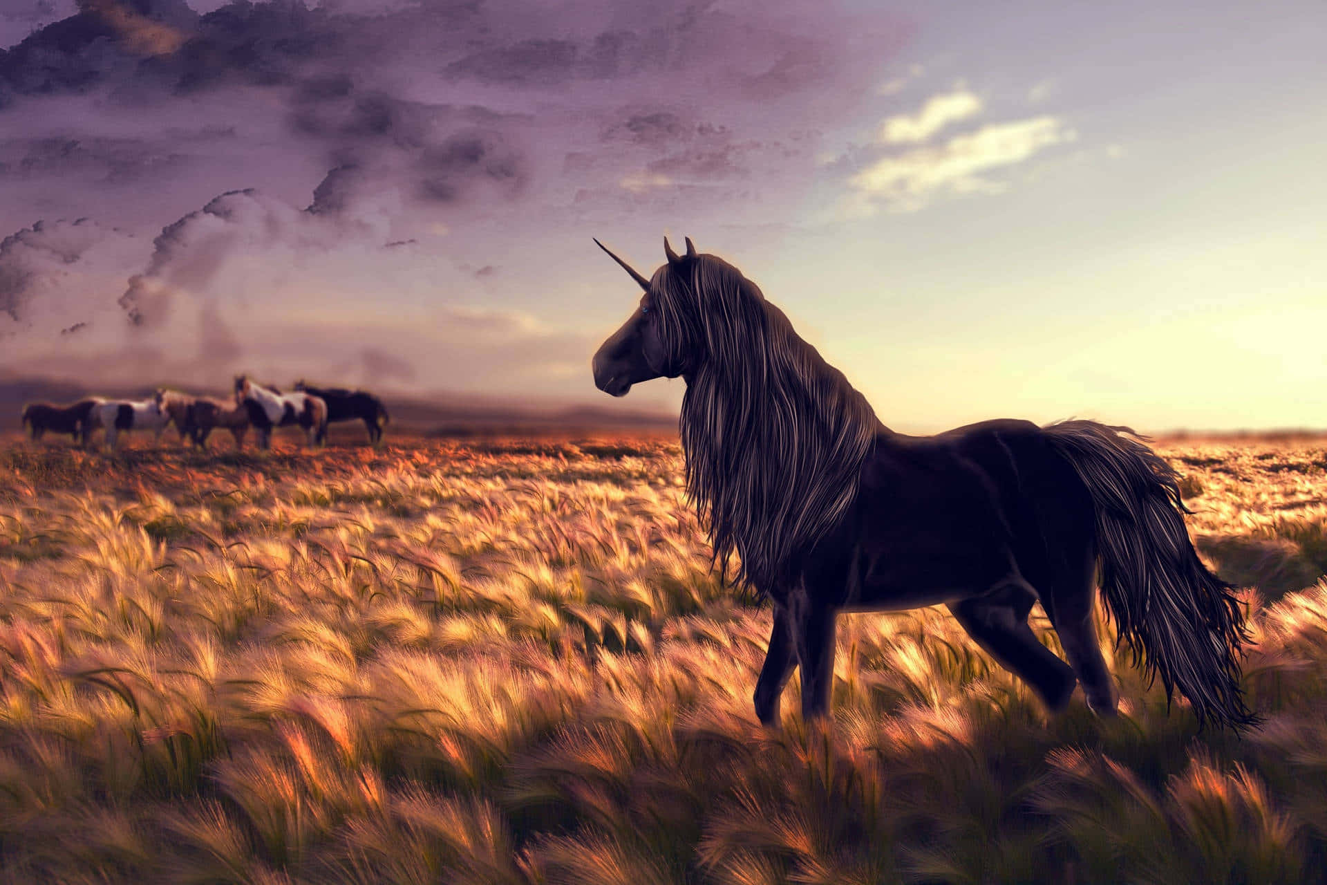 cool horse, black unicorn, golden wheat field, Full HD Desktop Wallpaper