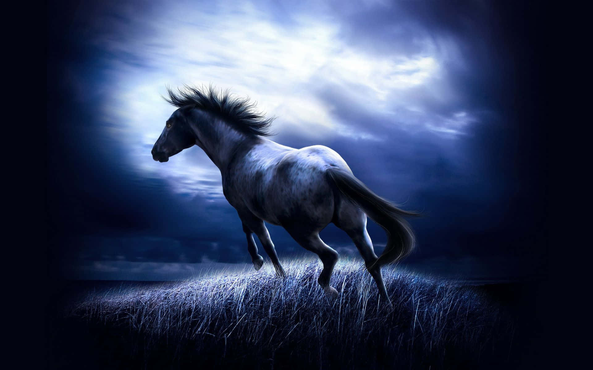 Cool Horse, white horse, glowing blue grass, Full HD Desktop Wallpaper