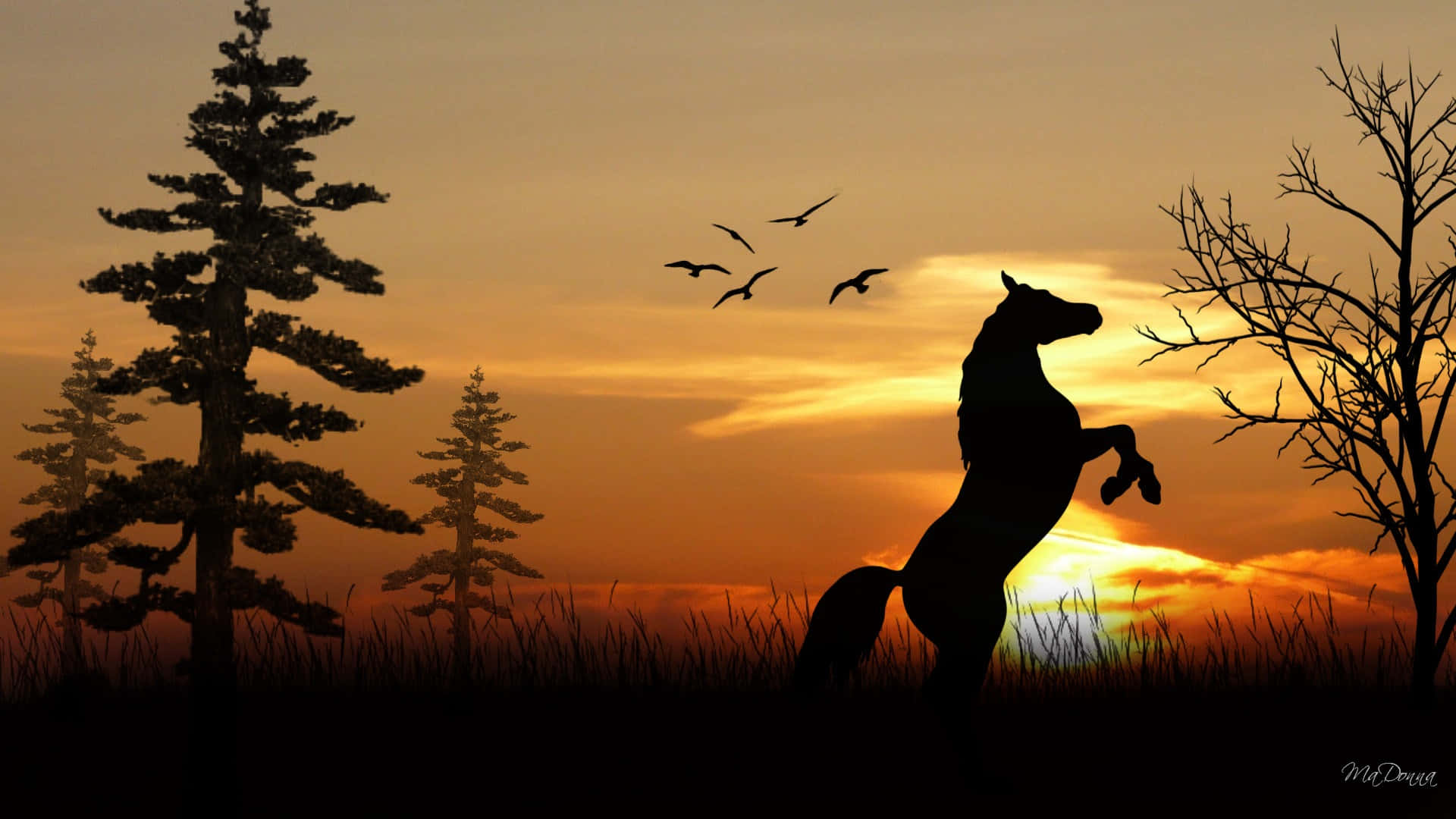 Cool Horse, fiery sunset, flying birds, Full HD Desktop Wallpaper