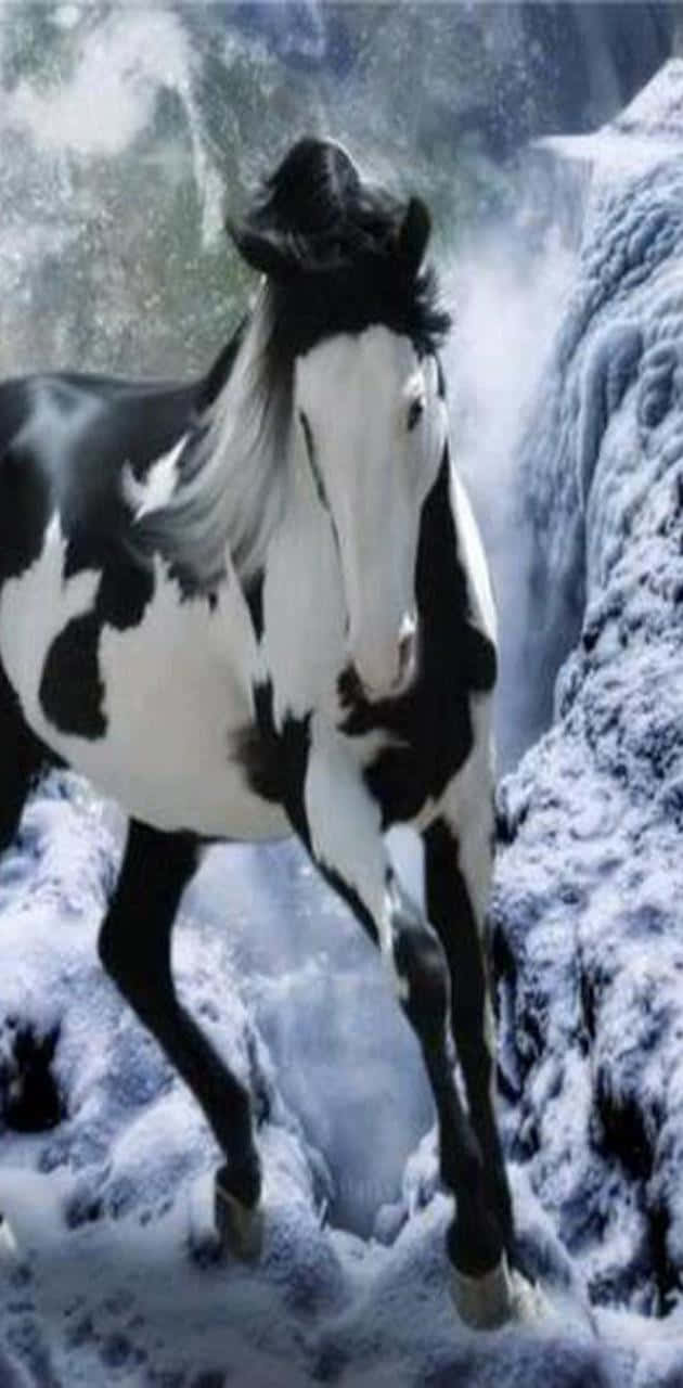 cool horse, black and white horse, snowy mountain landscape, HD Phone Wallpaper