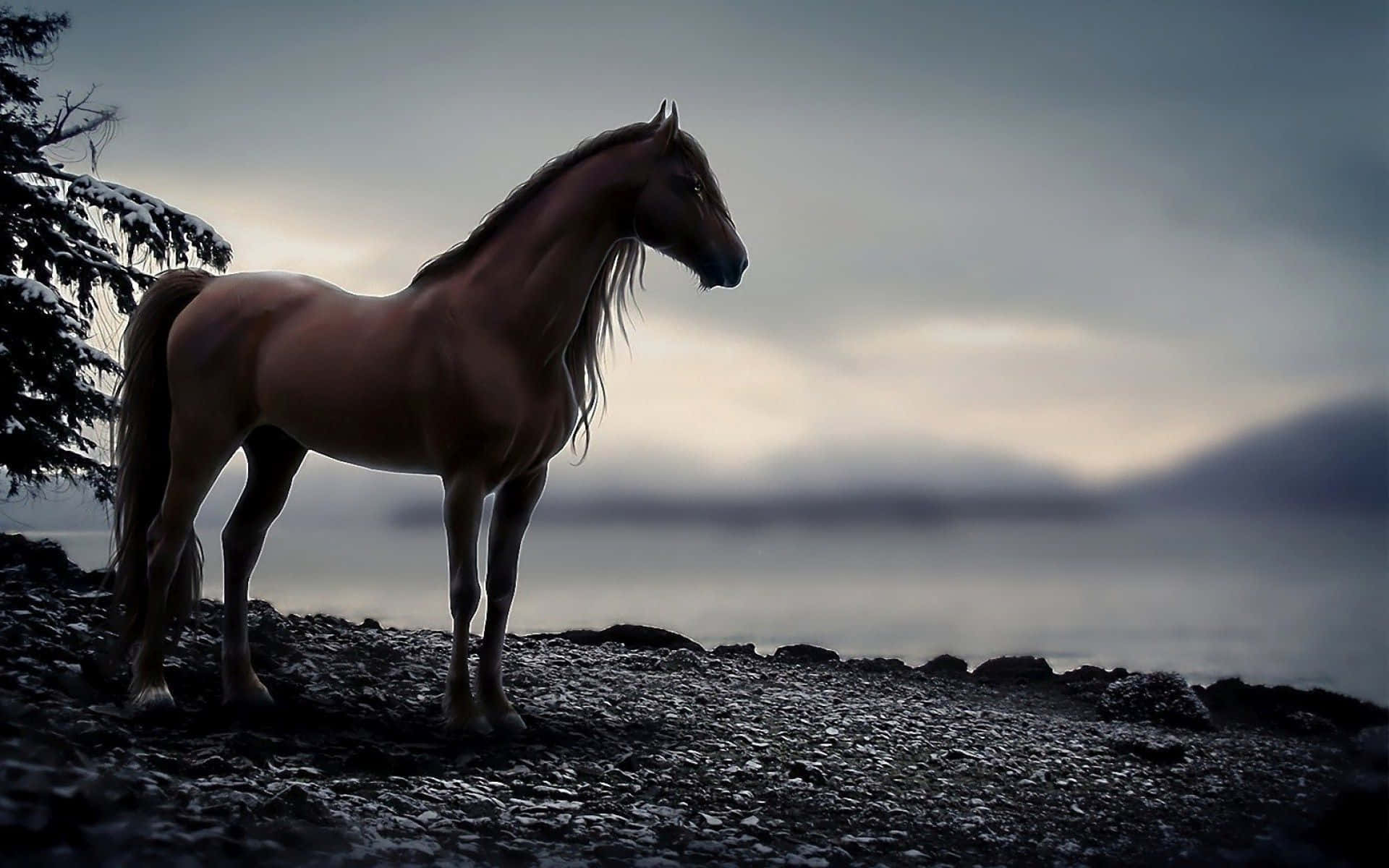 palomino horse, snowy rocky shore, misty lake, Full HD Desktop Wallpaper