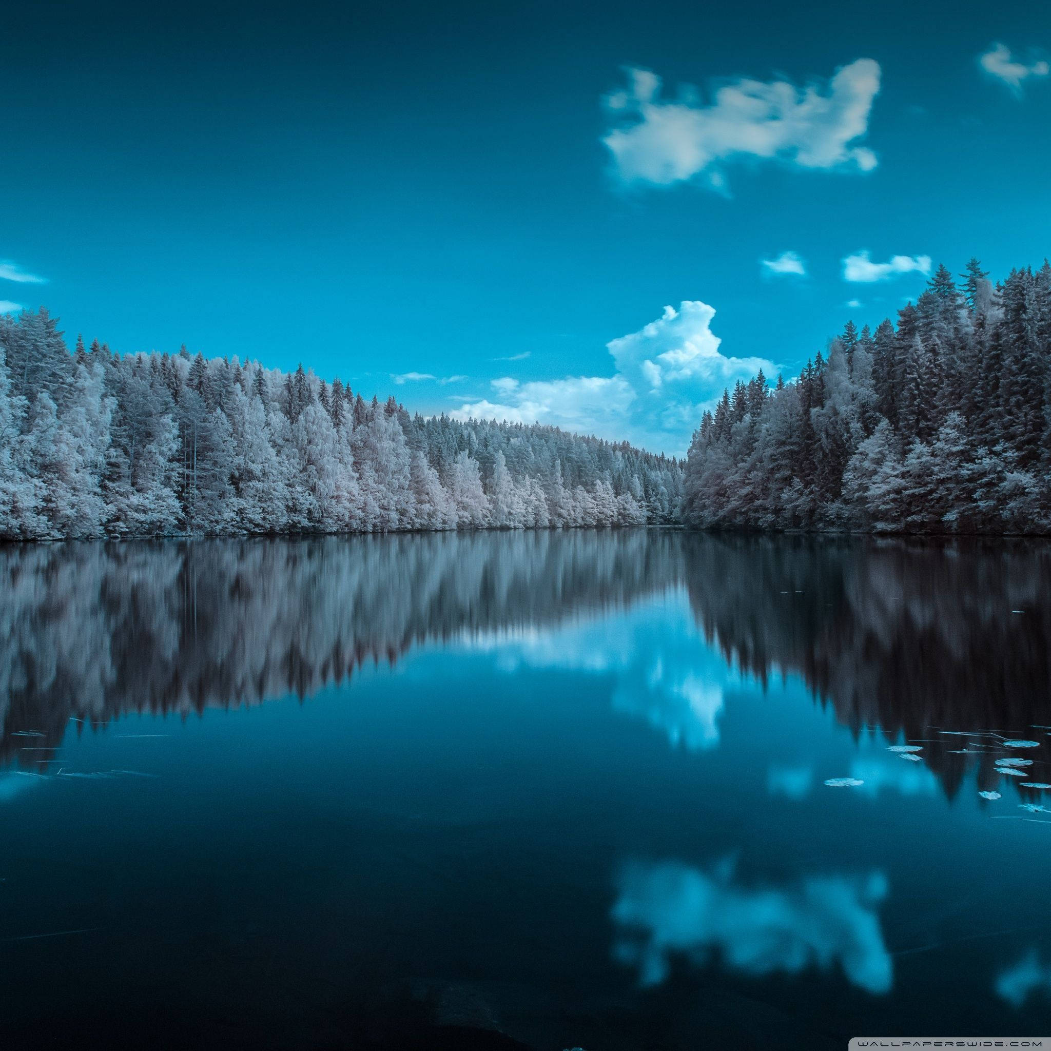 iPad, winter lake, vivid blue sky, Full HD Desktop Wallpaper