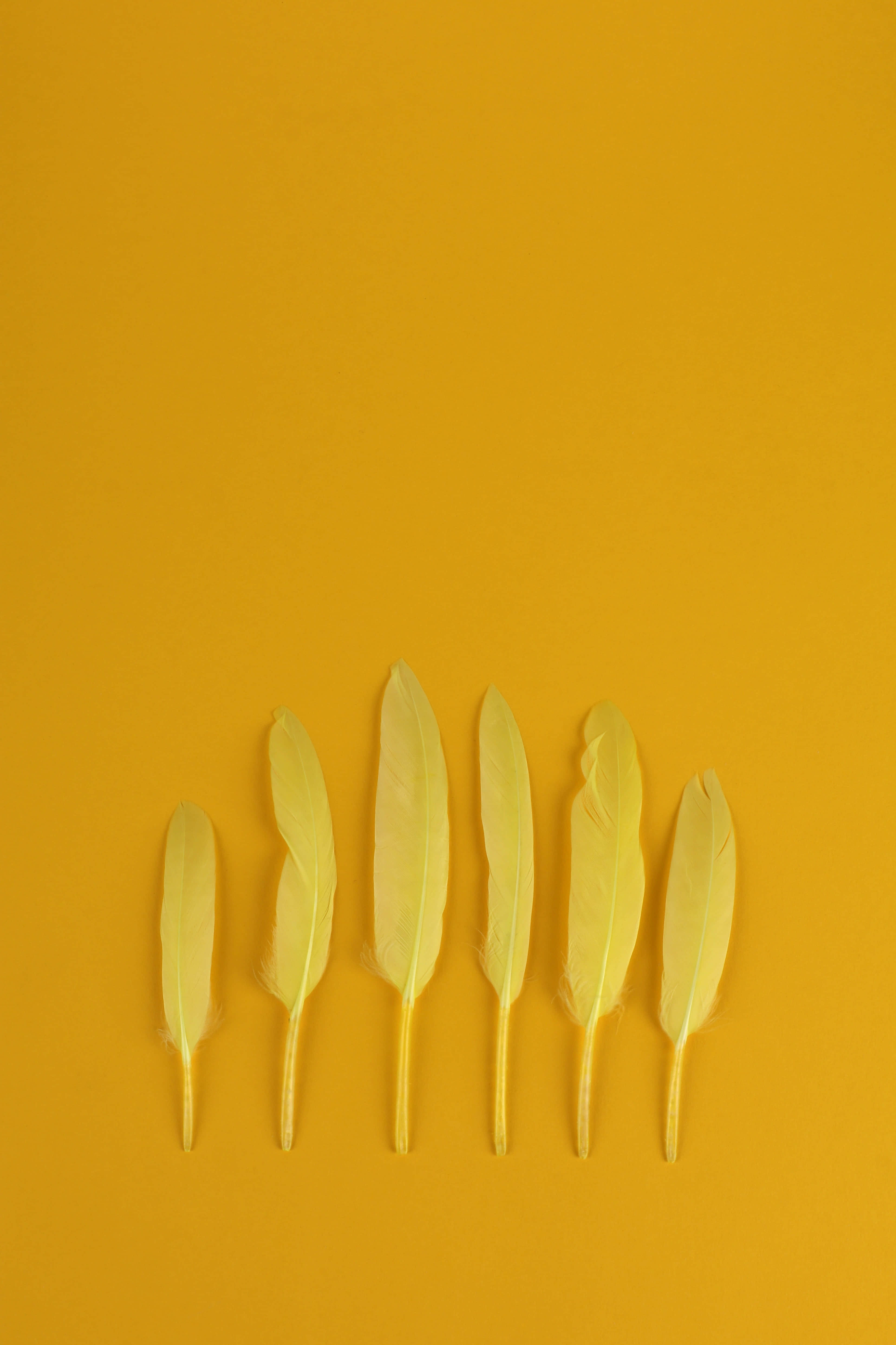 awesome ipad, pale yellow, mustard yellow, 5K Phone Wallpaper
