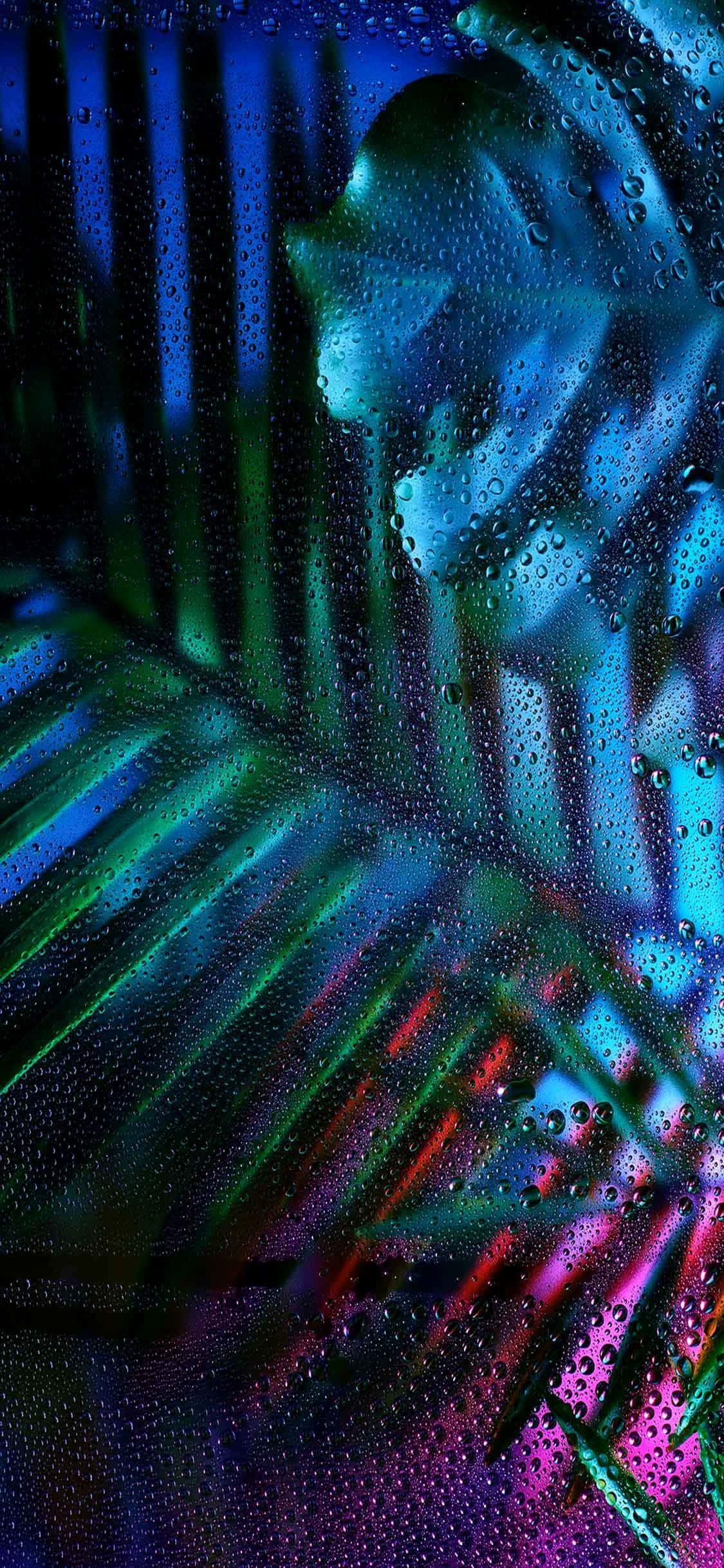 neon-lit palm leaf, rain-splattered window, electric blues, Full HD Phone Wallpaper