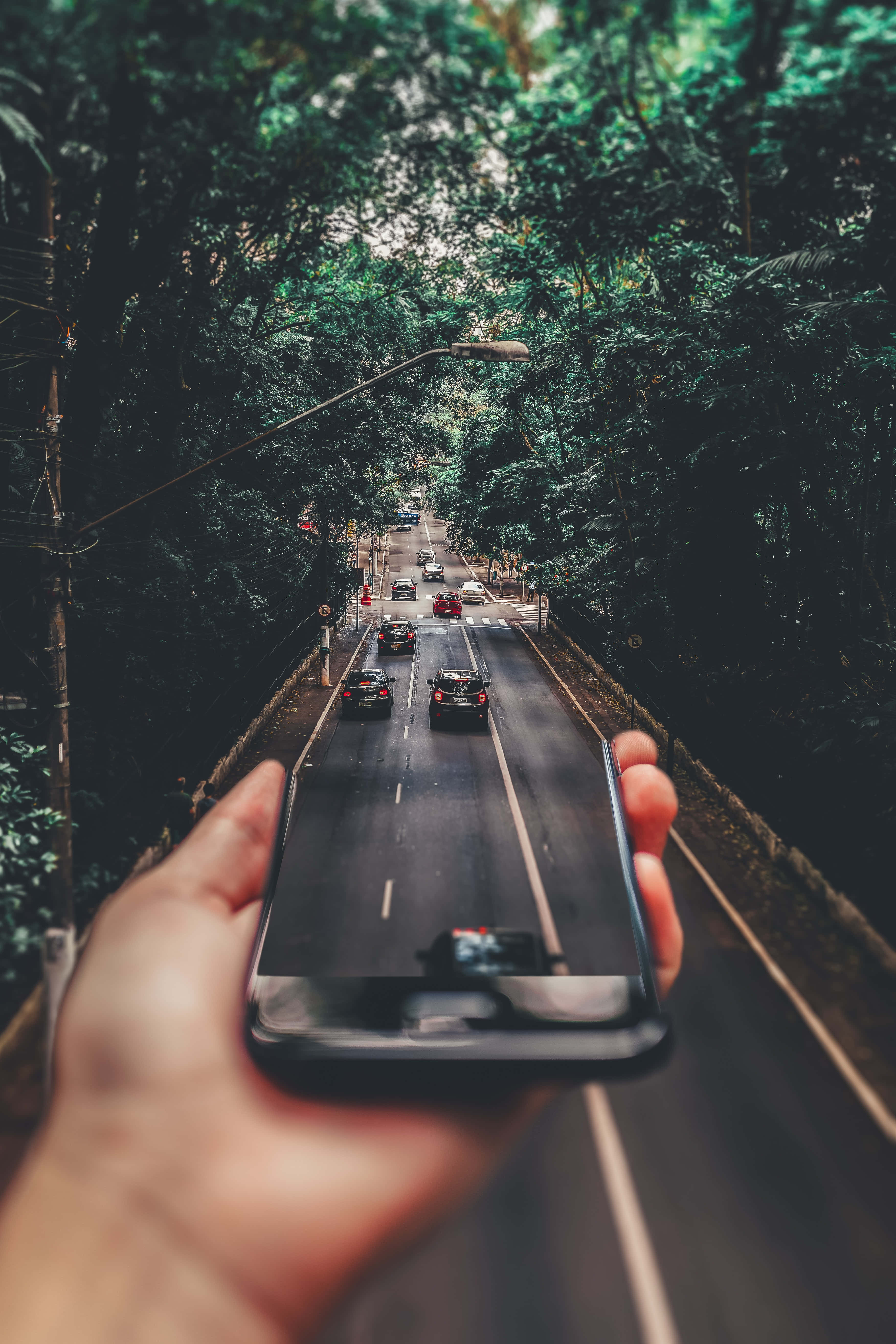 smartphone, tree-lined urban road, cars moving, 5K Phone Wallpaper