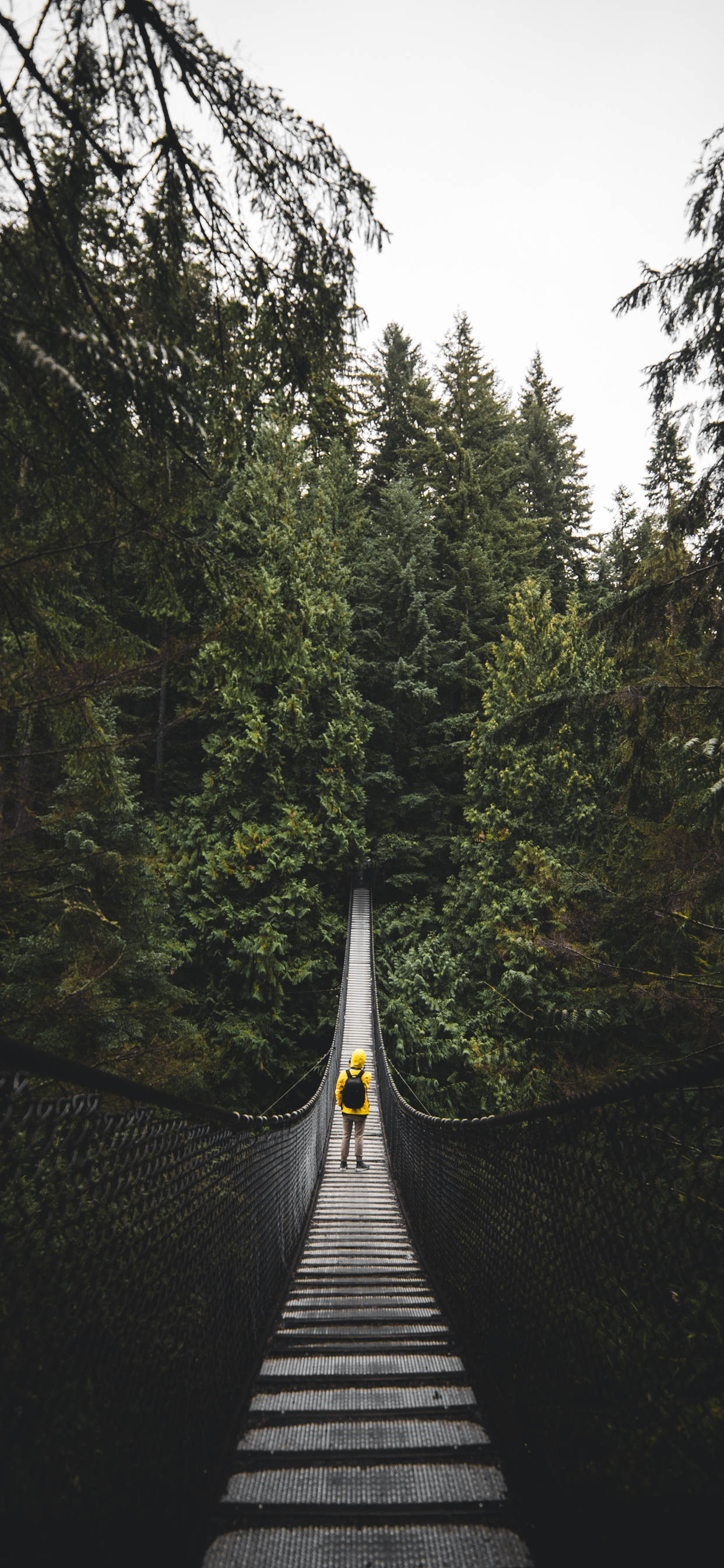 iPhone XS Max, hanging bridge, bright yellow jacket, 2K Phone Wallpaper