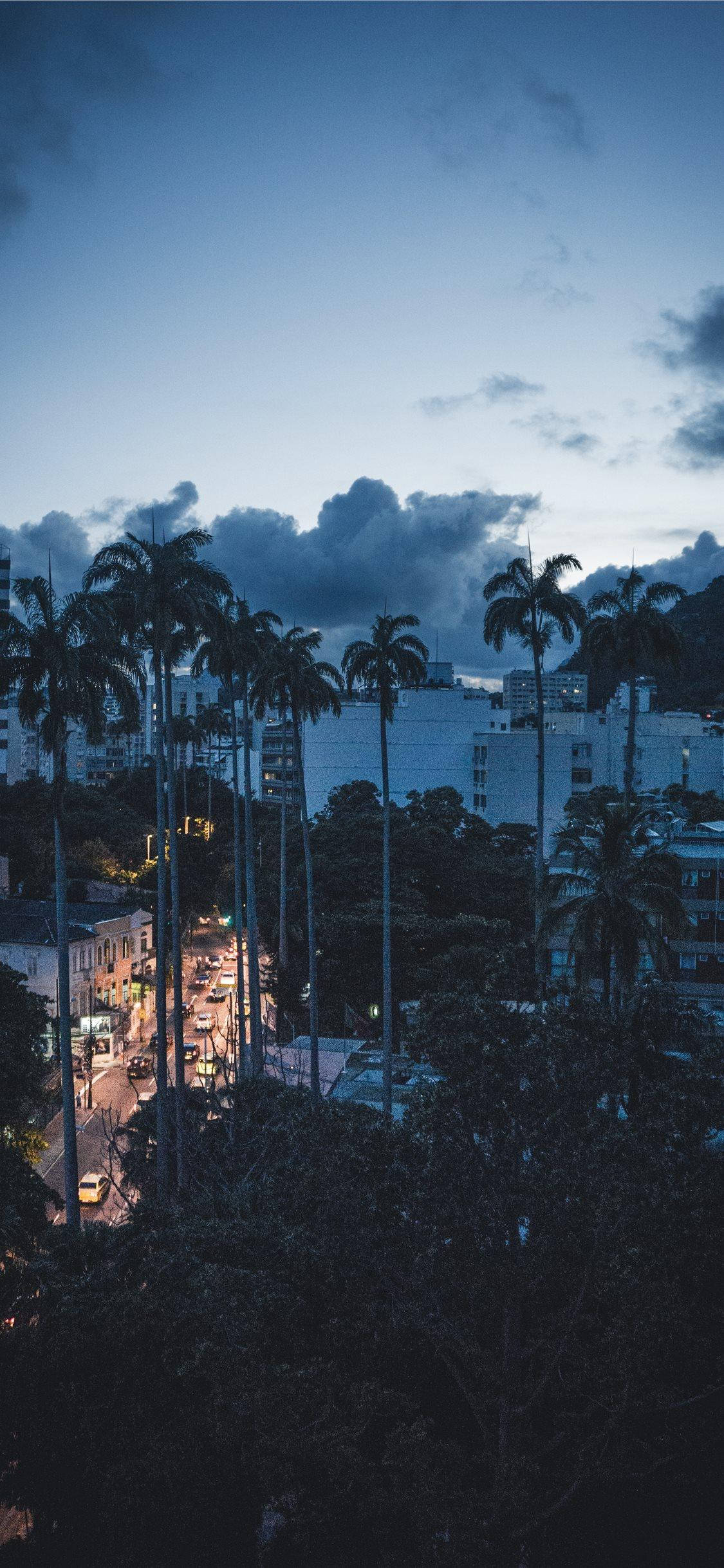 iPhone XS Max, palm tree, cityscape, Full HD Phone Wallpaper