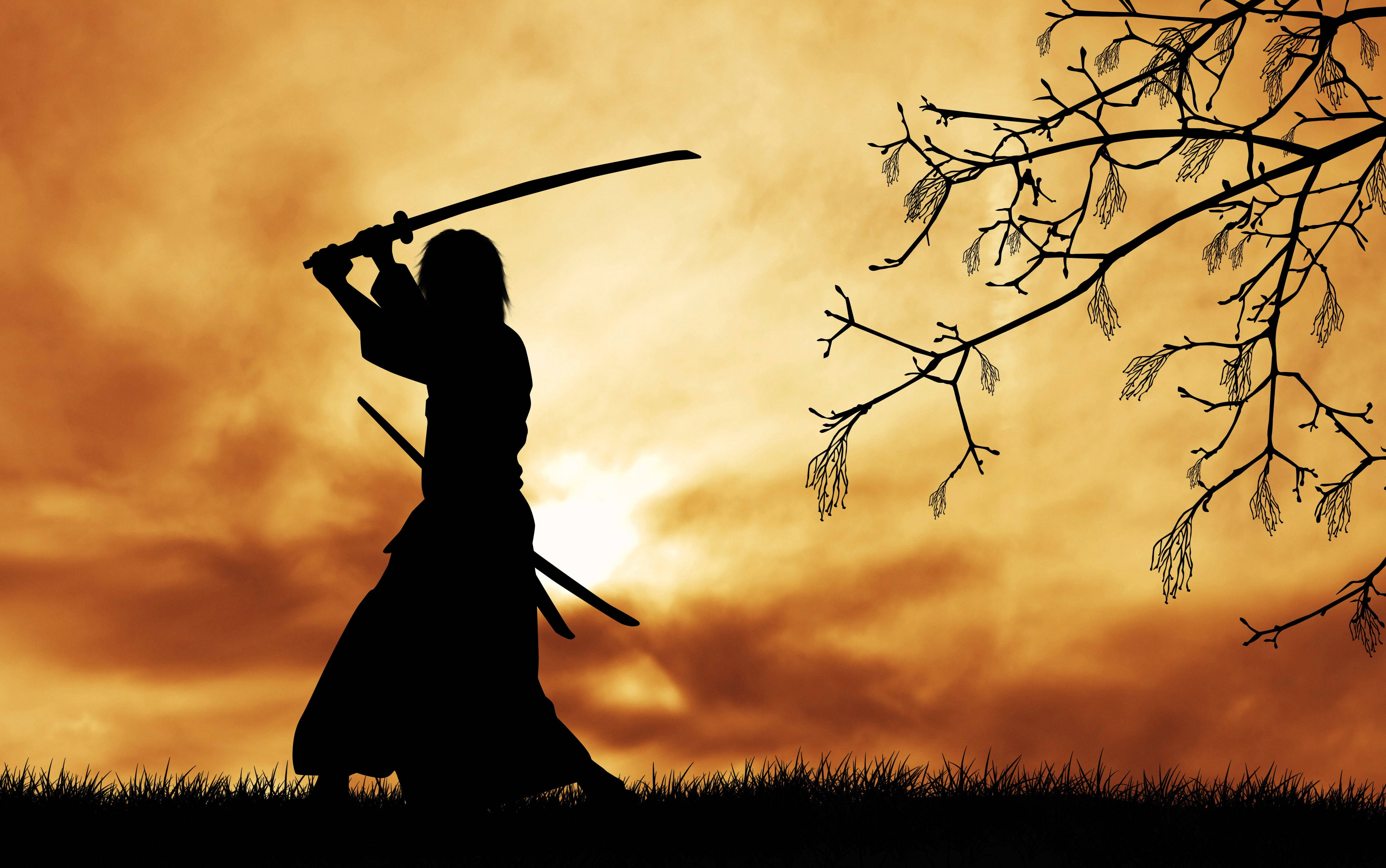 samurai warrior, sword, fiery sunset sky, 4K Desktop Wallpaper