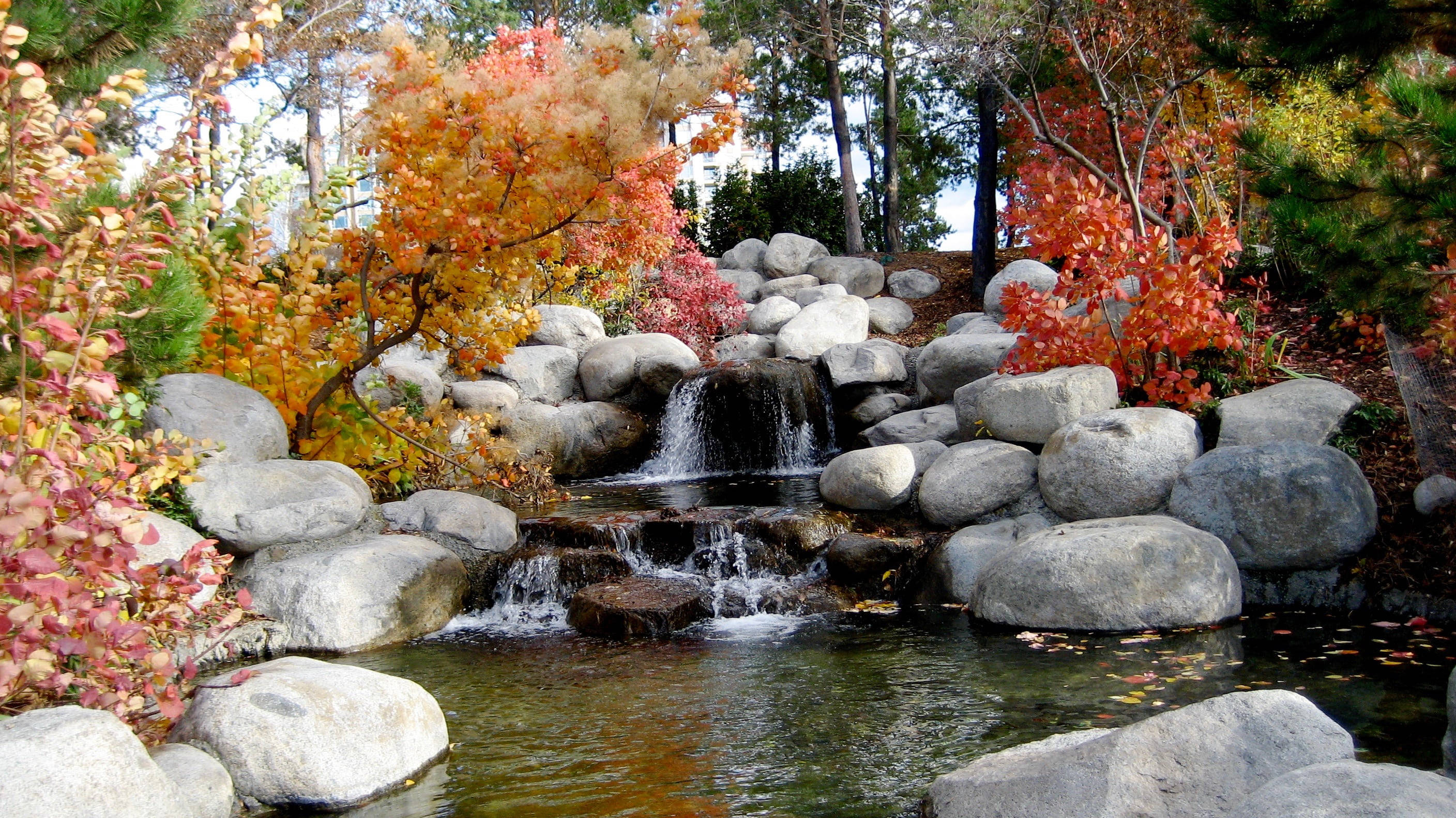 Cool Japanese, waterfall, autumn garden, 2K Desktop Wallpaper