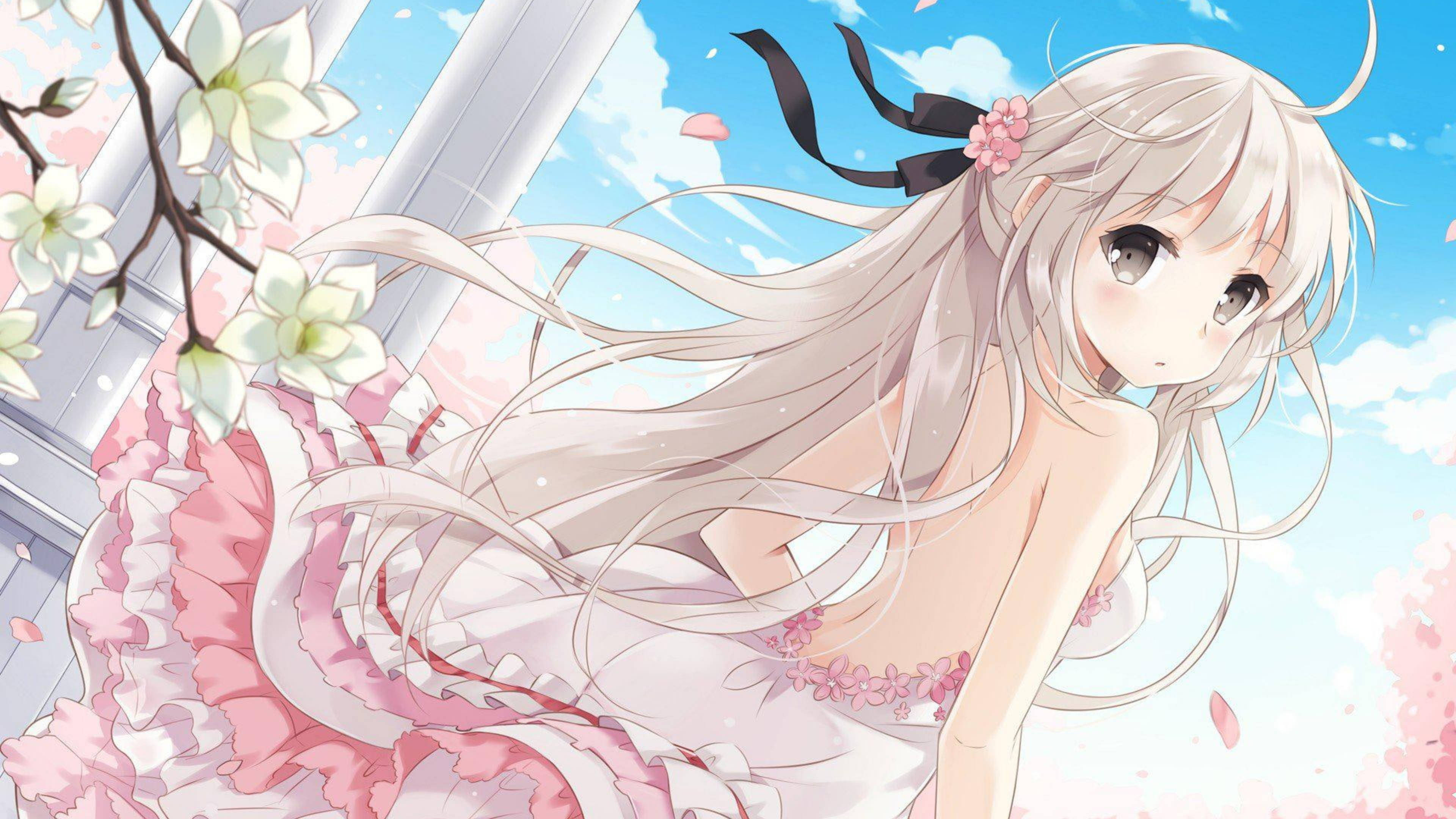 anime girl, long silver hair, pink dress, 4K Desktop Wallpaper