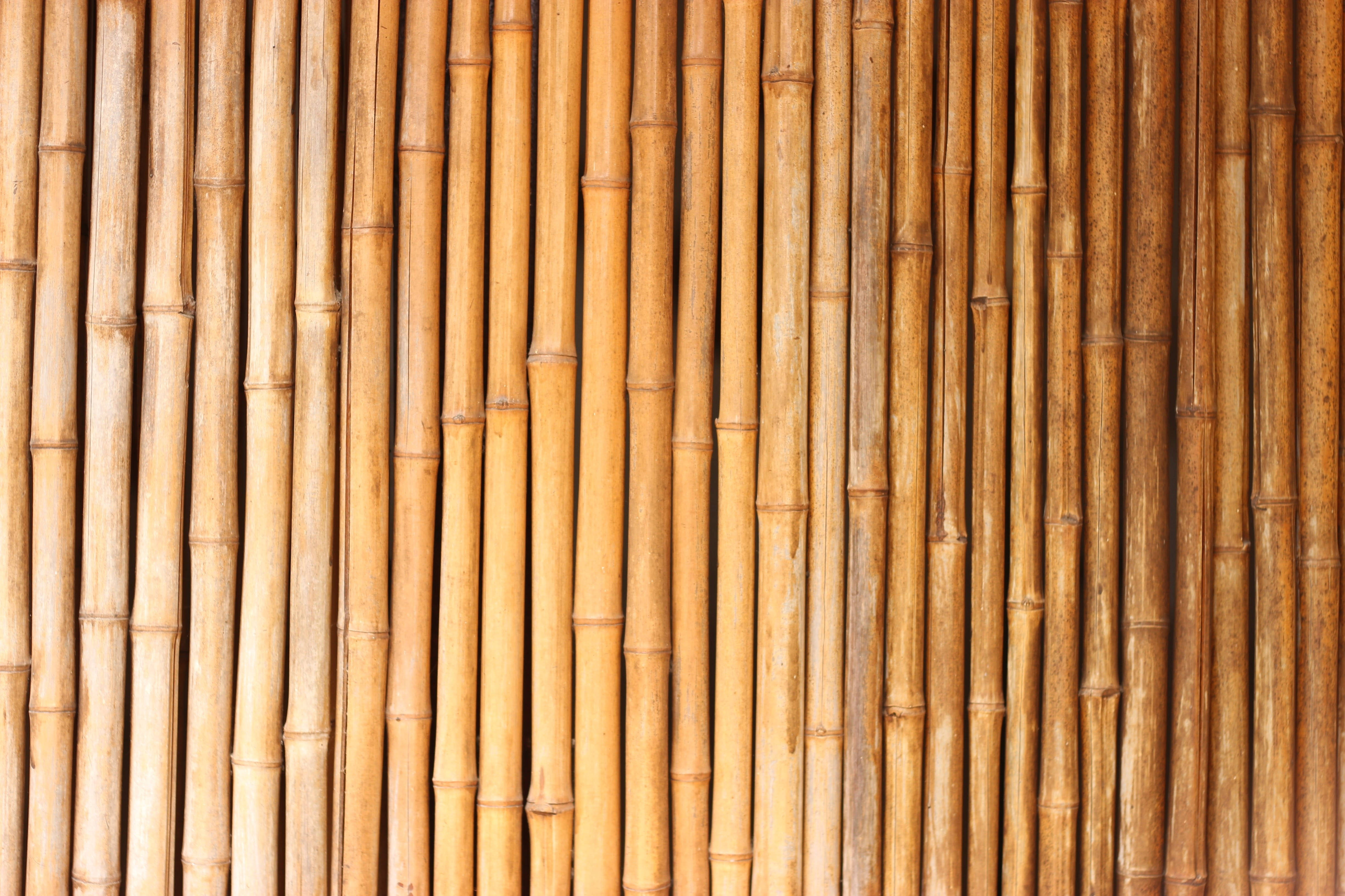 Cool Japanese, bamboo, vertical alignment, 4K Desktop Wallpaper