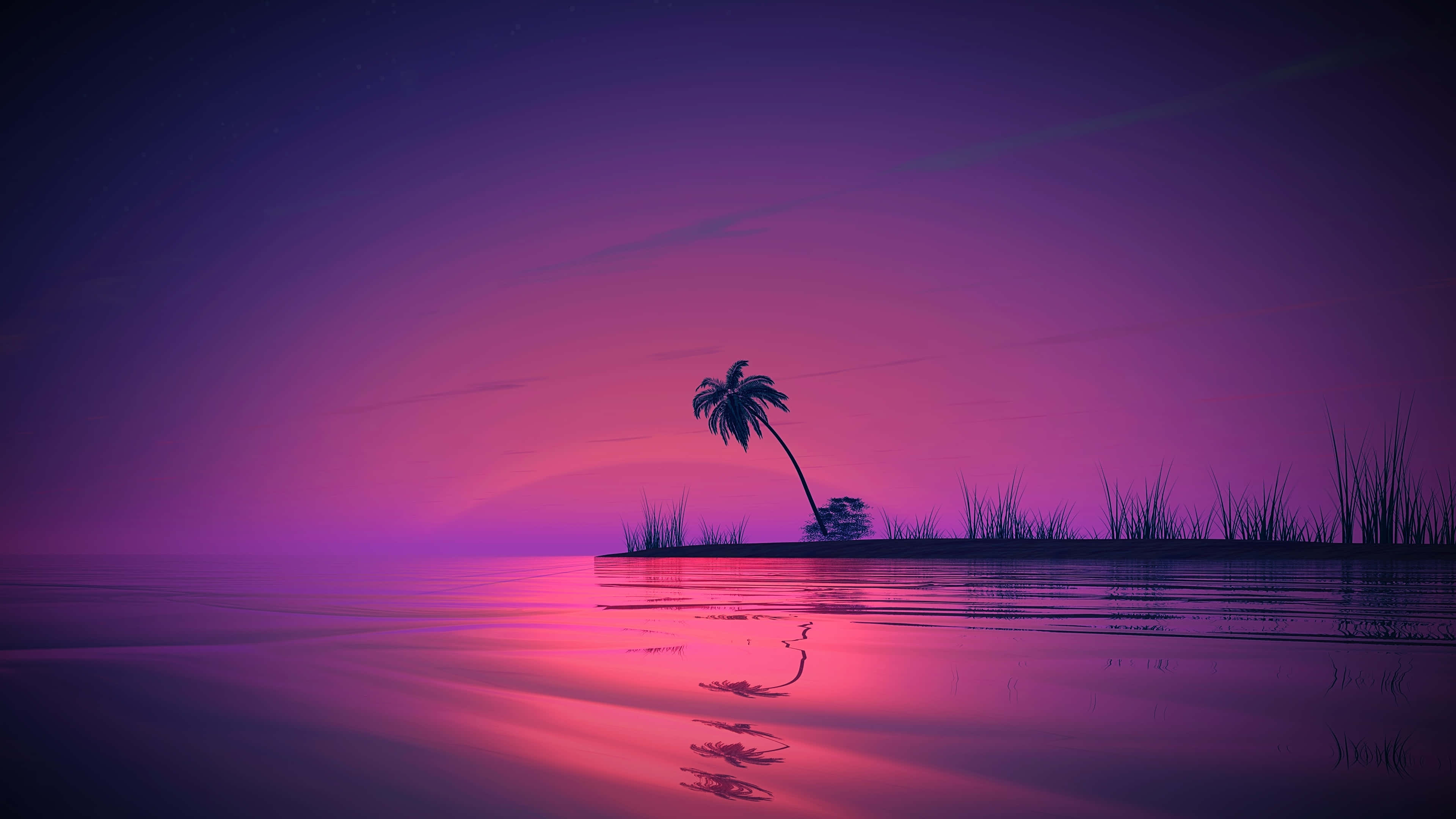 Purple Beach, lone palm tree, small island, 4K Desktop Wallpaper