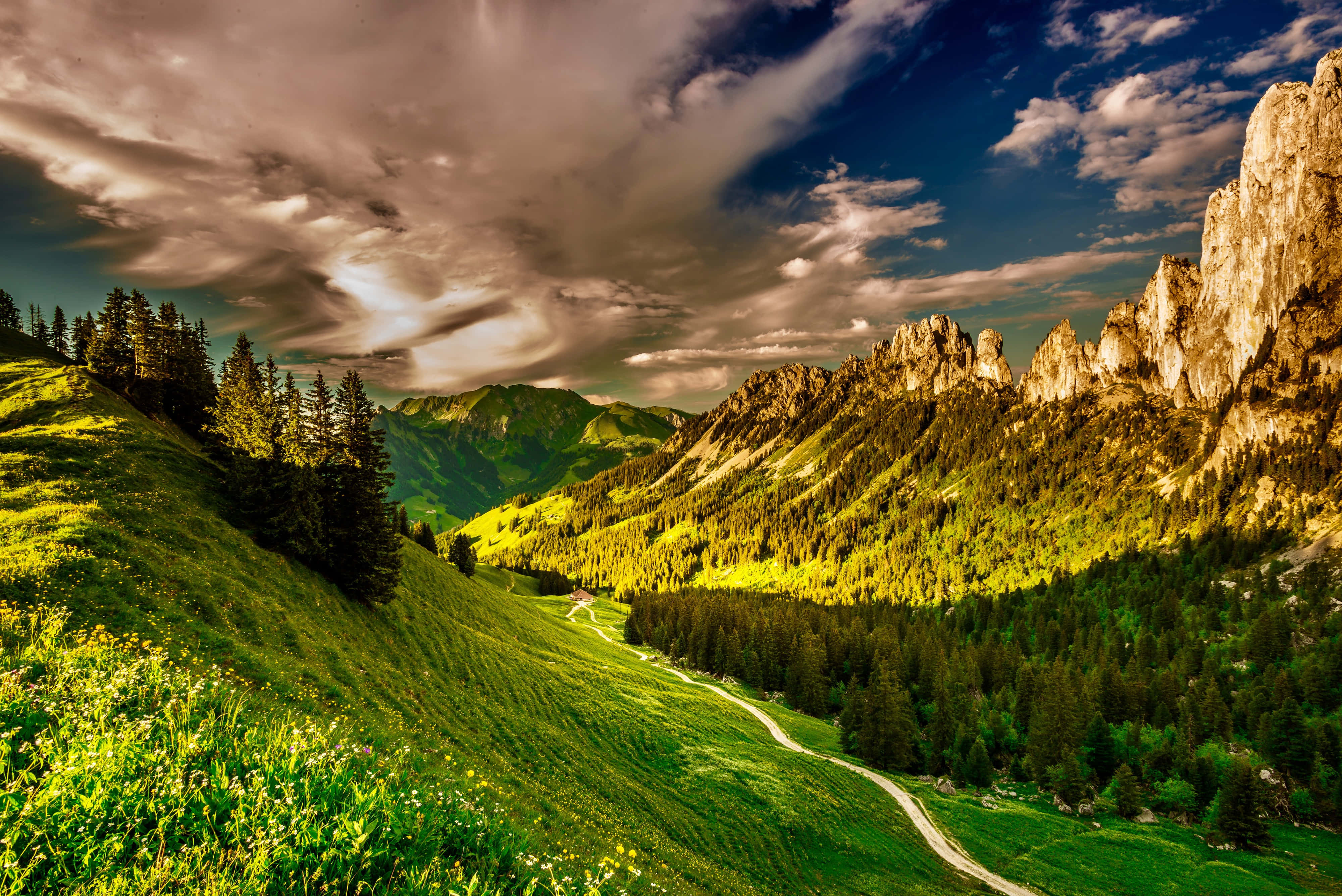 Pine Forest, winding road, vibrant green valleys, 4K Desktop Wallpaper