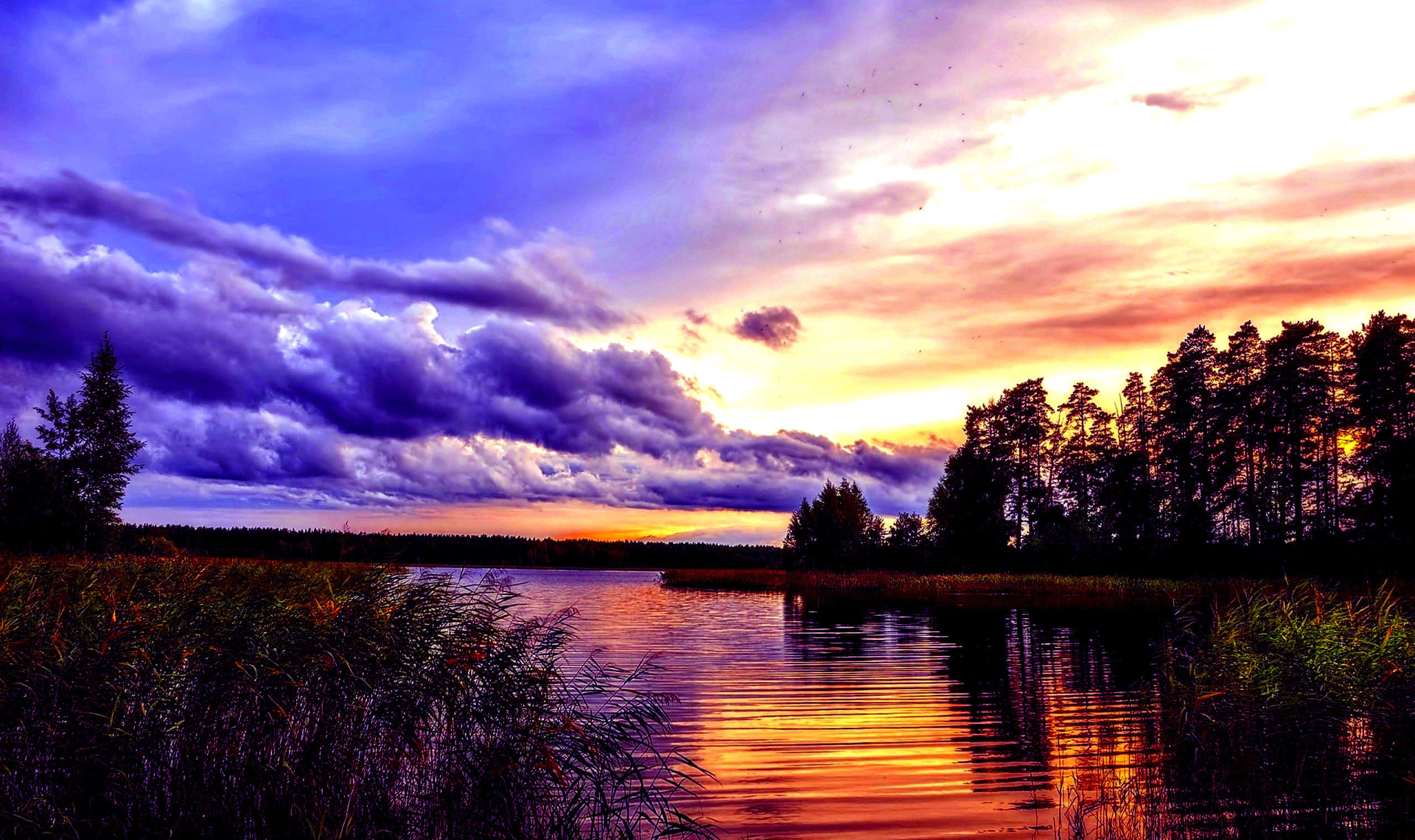 sunset, fiery orange, purple clouds, 2K Desktop Wallpaper
