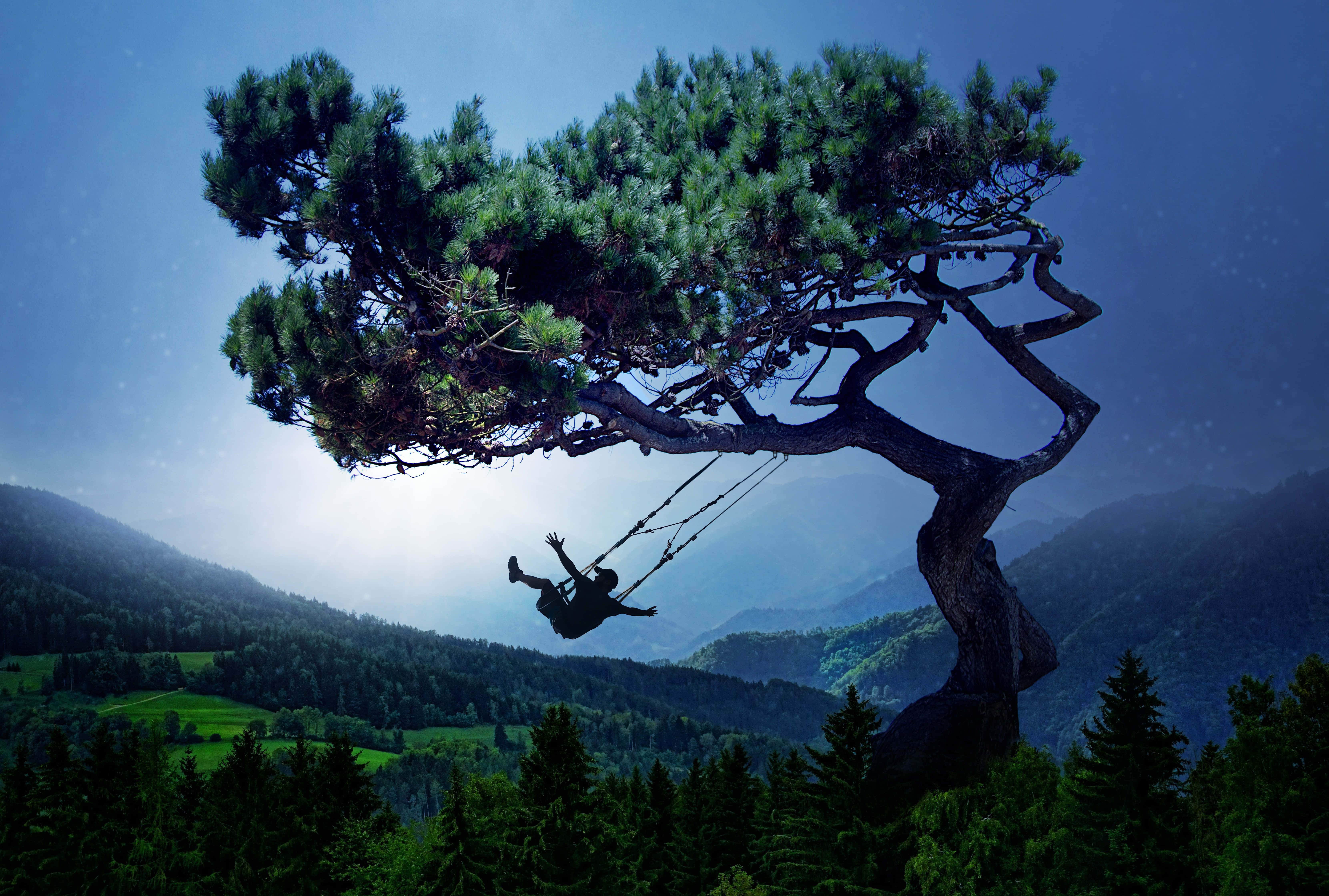 twilight sky, mountain valley, massive pine tree, 5K Desktop Wallpaper