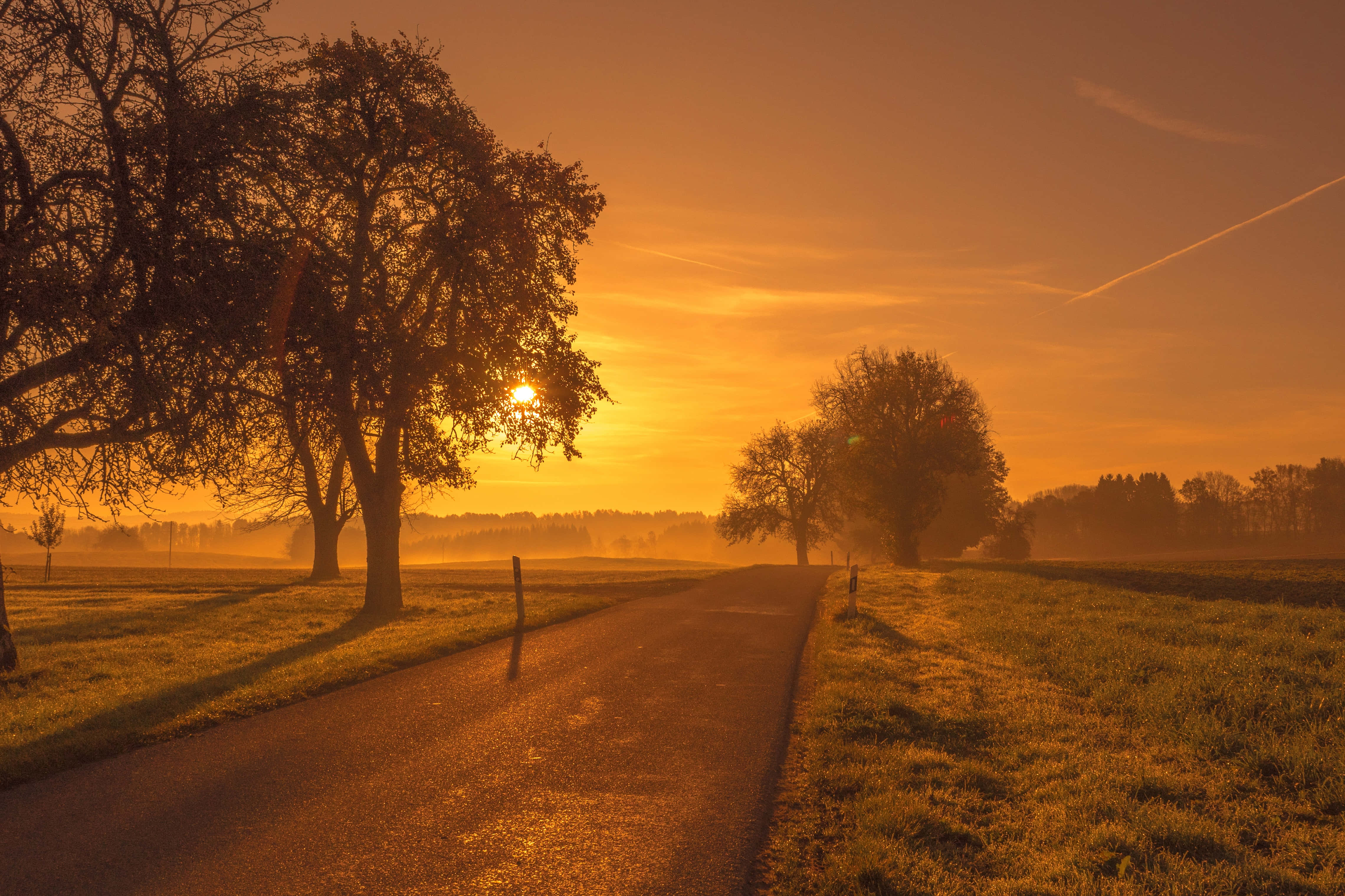 Golden Sunset, misty rural road, golden sunrise light, 4K Desktop Wallpaper