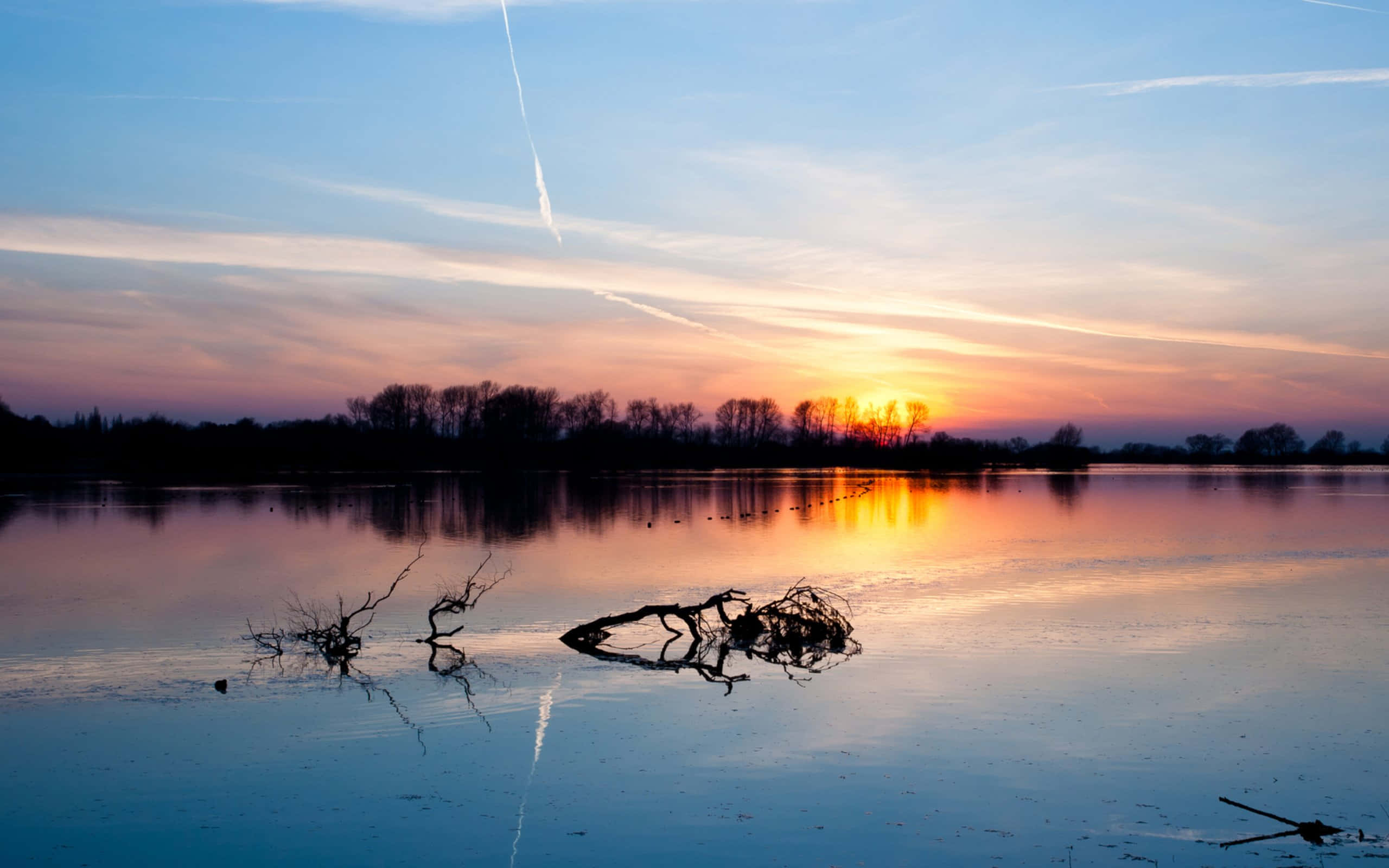 Sunset, calm water, silhouetted trees, 2K Desktop Wallpaper