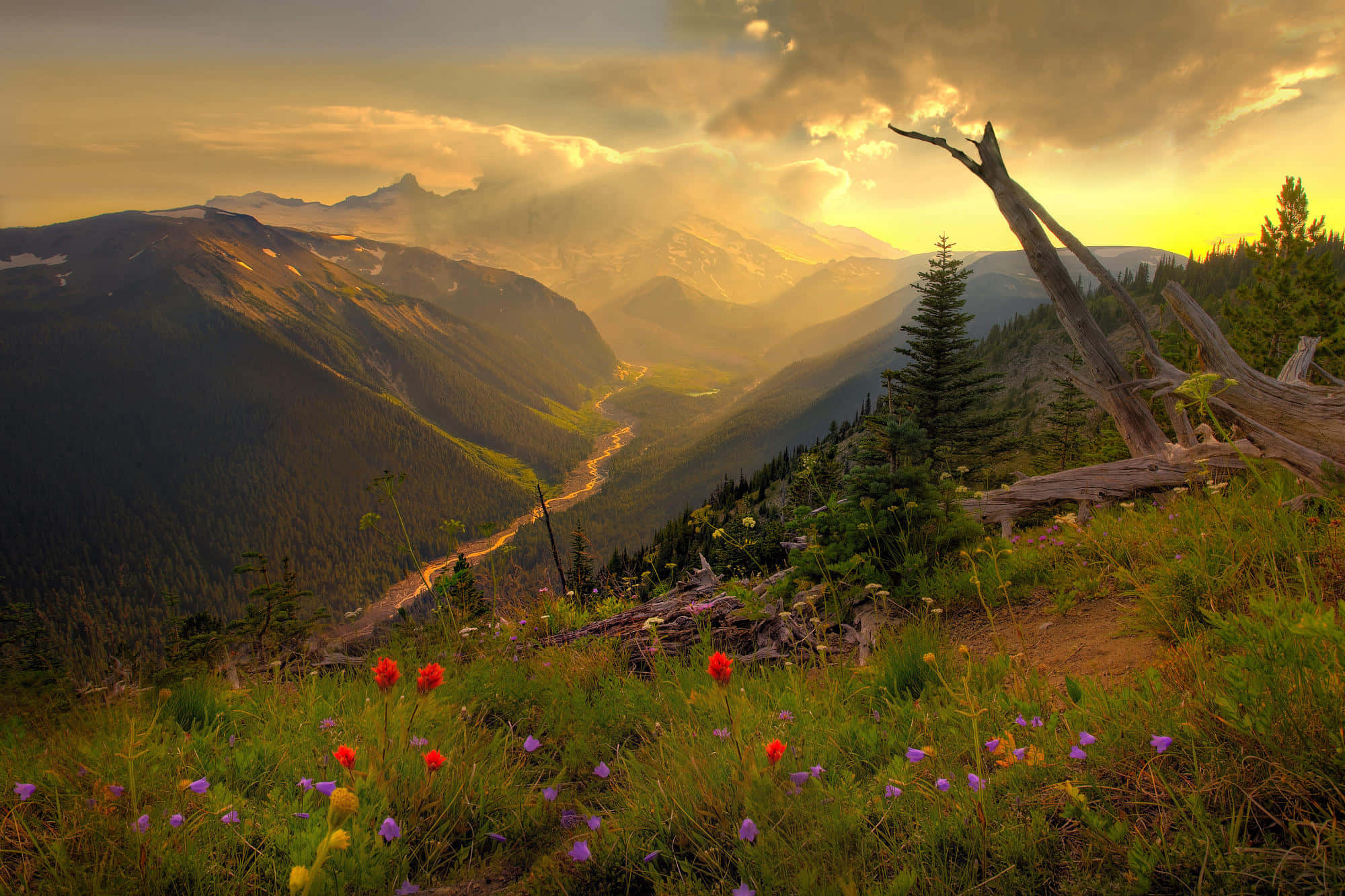 mountains, clear blue sky, golden sunset, Full HD Desktop Wallpaper