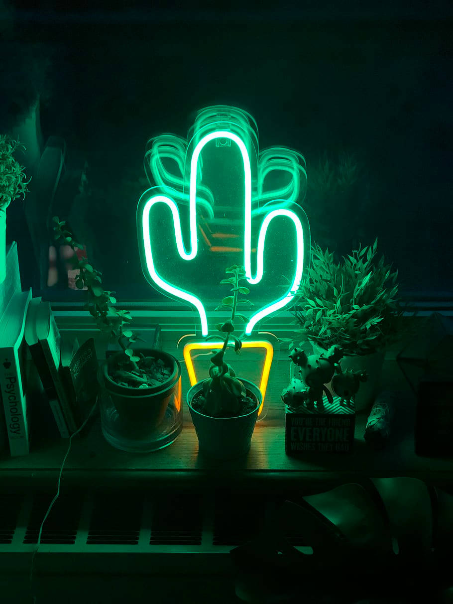 neon cactus, glowing green, dark shelf, SD Phone Wallpaper