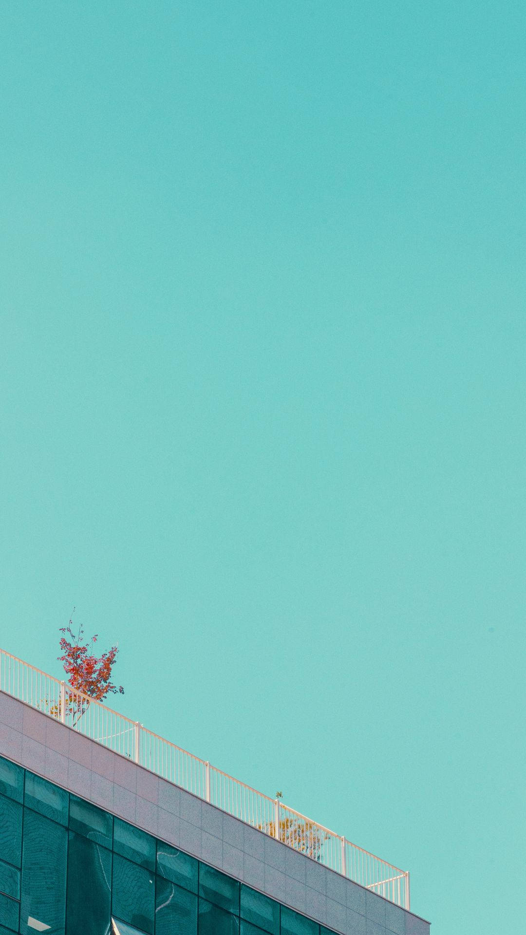 teal sky, red plant, minimalist rooftop corner, Full HD Phone Wallpaper