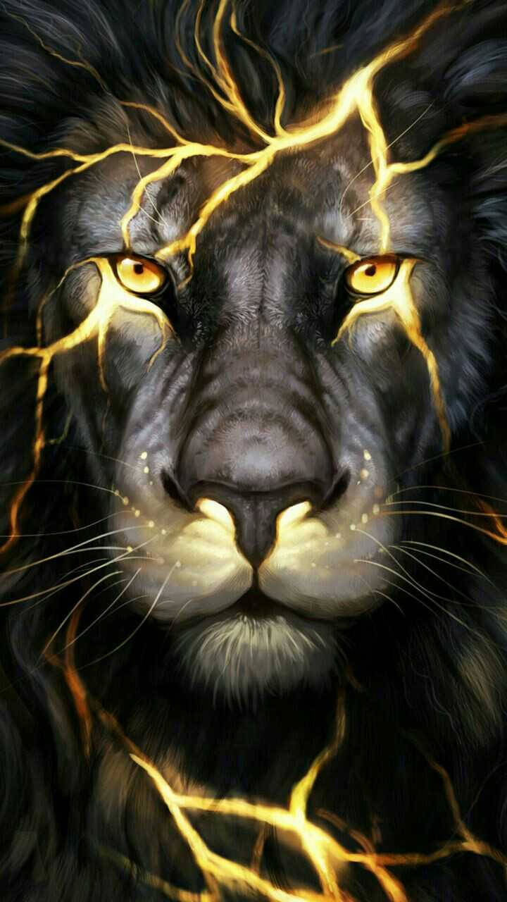 Cool Lion, black lion, glowing amber eyes, HD Phone Wallpaper