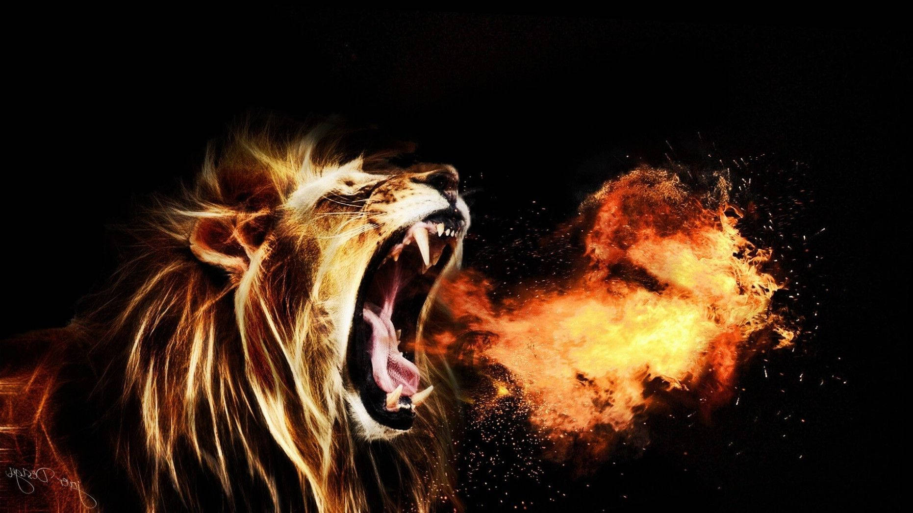Cool Lion, fiery breath, black background, HD Desktop Wallpaper