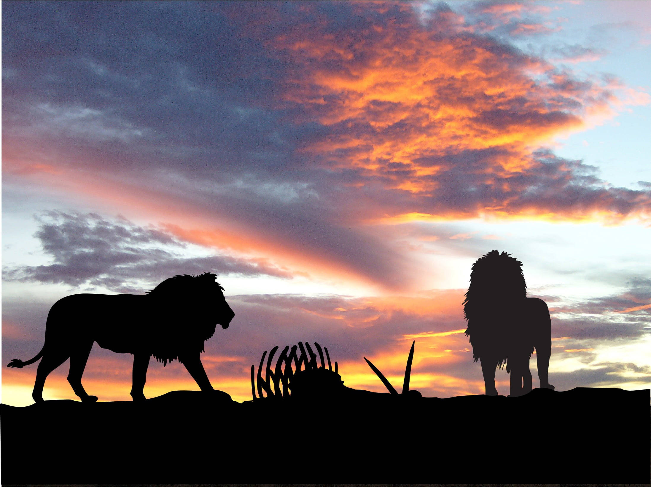 lion silhouettes, ridge, fiery sunset sky, Full HD Desktop Wallpaper