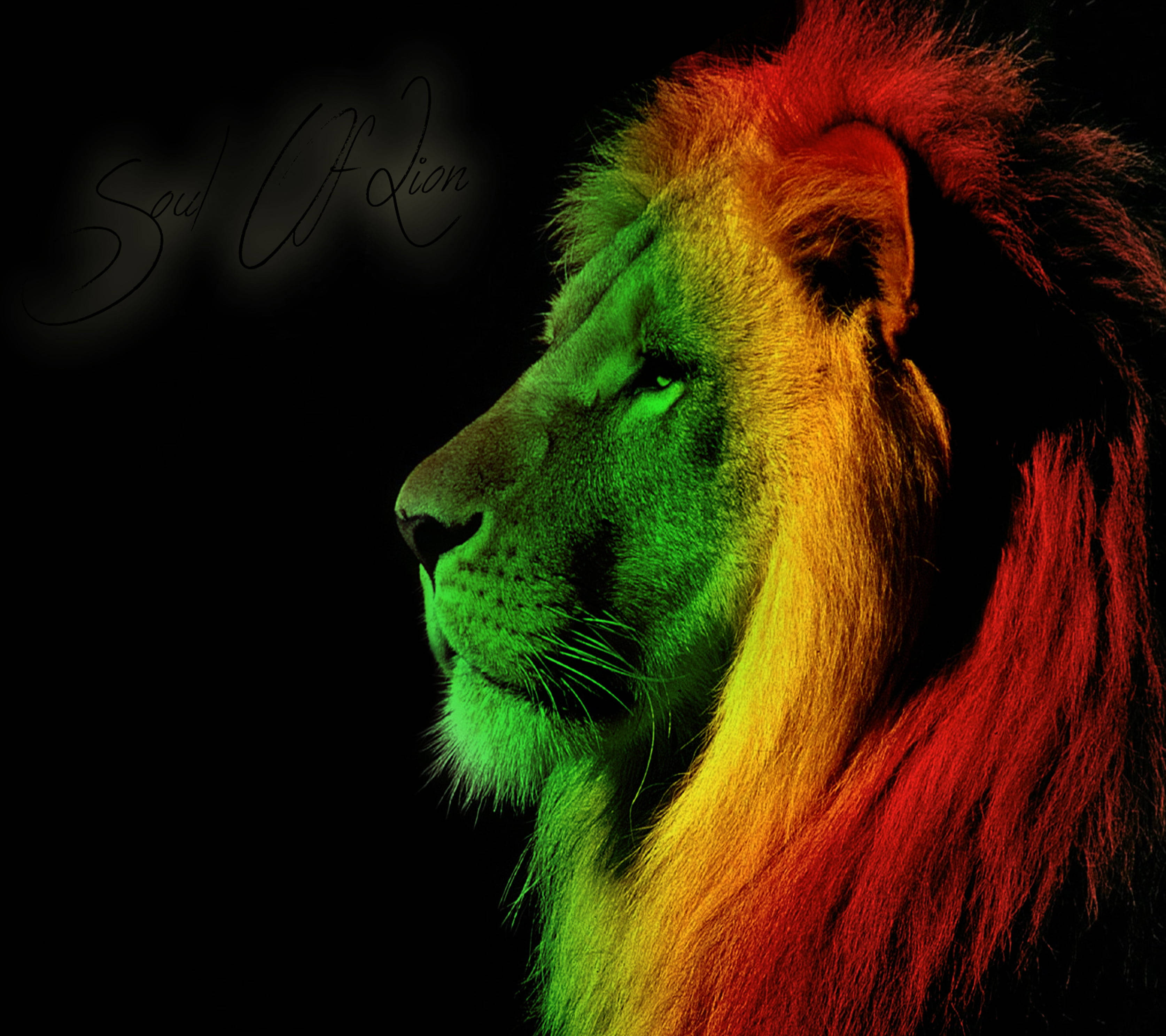 multi color lion desktop, majestic lion, vibrant rainbow hues, 2K Desktop Wallpaper