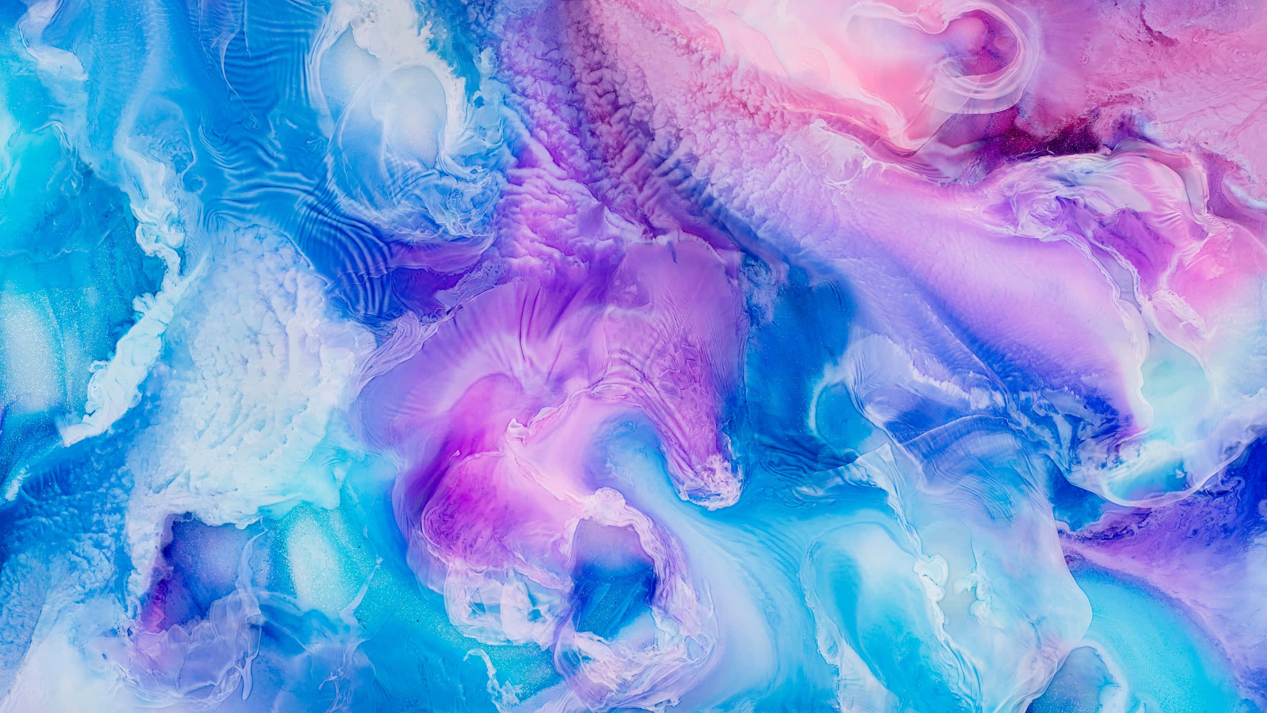 blue, purple, electric blues, 2K Desktop Wallpaper