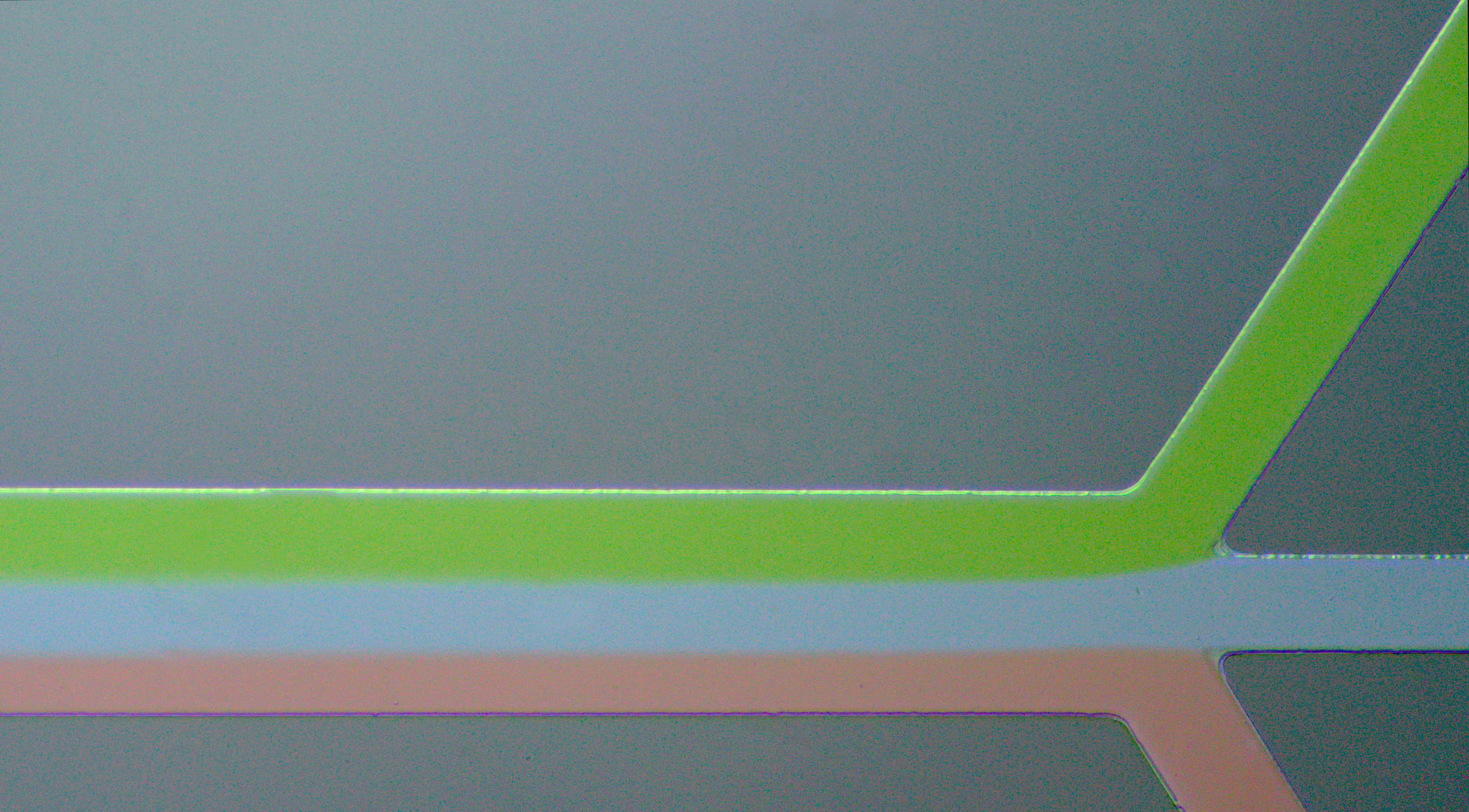 Cool Material, lime green, coral, 2K Desktop Wallpaper