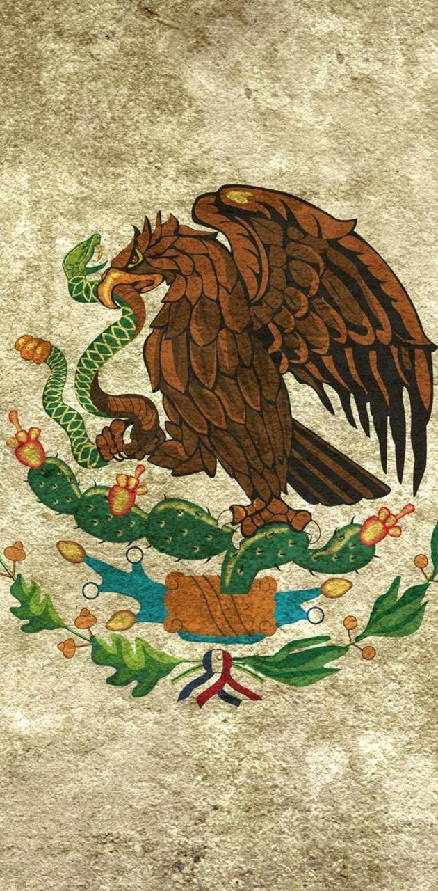 mexico flag, brown eagle, prickly pear cactus, HD Phone Wallpaper