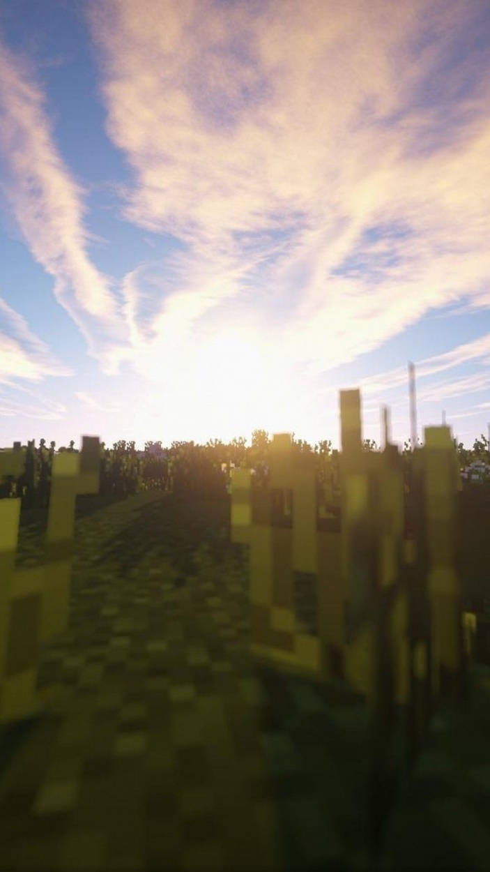 Minecraft, Sunset, pixelated Minecraft field, SD Phone Wallpaper