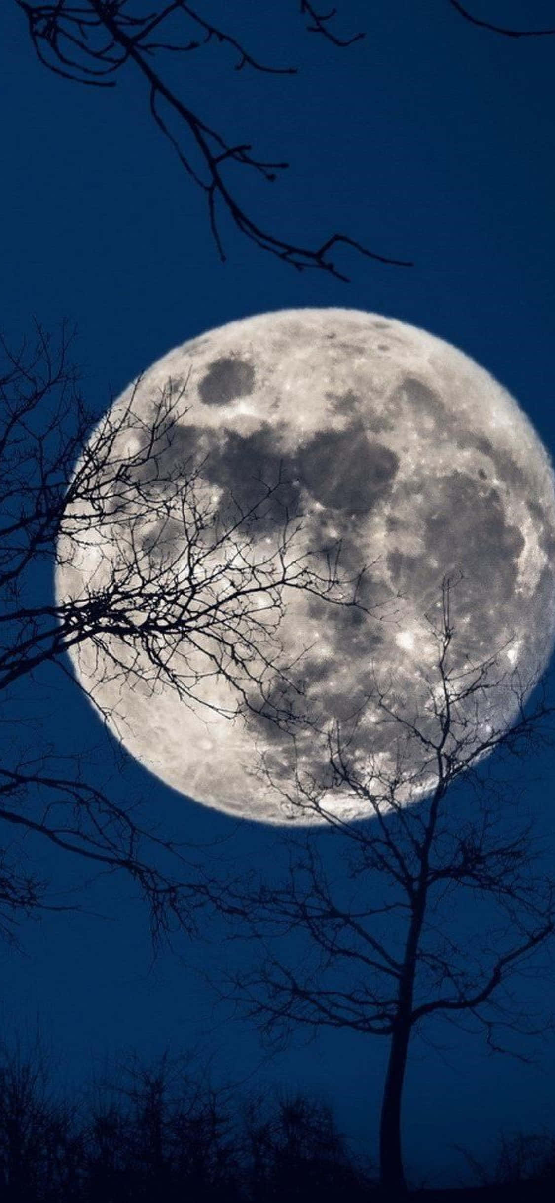 Cool Moon, full moon, deep blue night sky, Full HD Phone Wallpaper