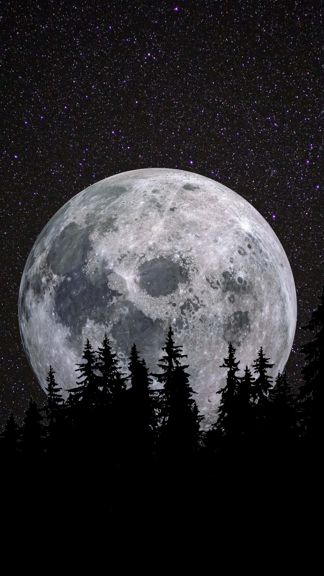 Cool Moon, starry purple night sky, dark silhouette of pine trees, Full HD Phone Wallpaper