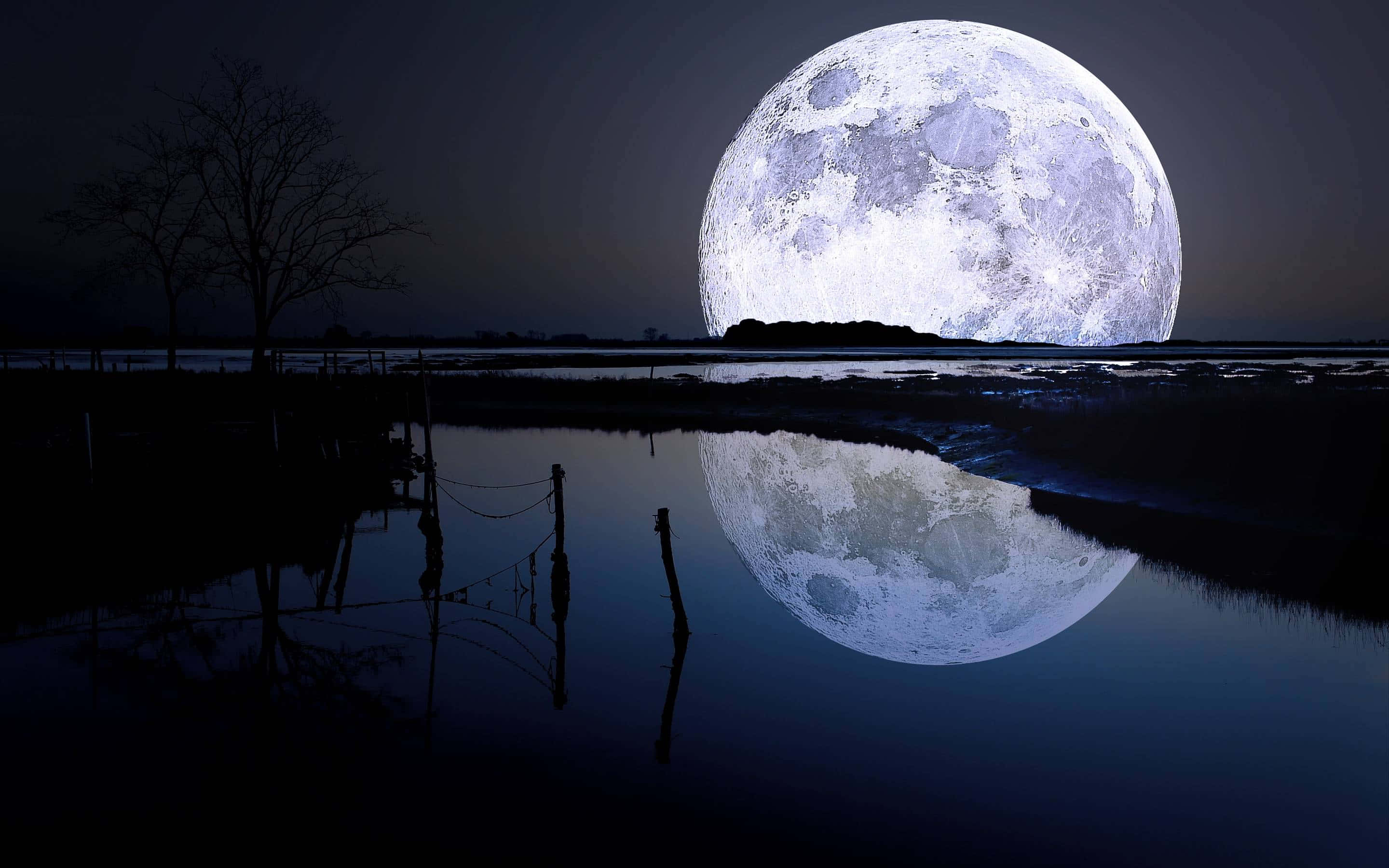 Cool Moon, full moon, dark wetland, 2K Desktop Wallpaper